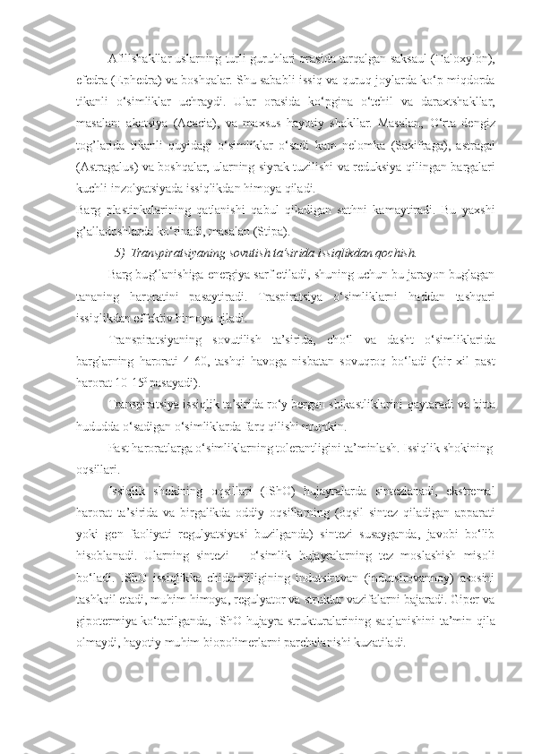 Afillshakllar uslarning turli guruhlari orasida tar q algan saksaul ( Haloxylon ),
efedra ( Ephedra ) va boshqalar. Shu sababli issiq va   q uru q   joylarda ko‘p miqdorda
tikanli   o‘simliklar   uchraydi.   Ular   orasida   ko‘pgina   o‘tchil   va   daraxtshakllar,
masalan:   akatsiya   (Acacia),   va   maxsus   hayotiy   shakllar.   Masalan,   O‘ rta   dengiz
tog’larida   tikanli   q uyidagi   o‘simliklar   o‘ sadi   kam   nelomka   ( Saxifraga ),   astragal
(Astragalus)   va boshqalar, ularning siyrak tuzilishi va reduksiya   q ilingan bargalari
kuchli inzolyatsiyada issiqlikdan himoya qiladi.
Barg   plastinkalarining   q atlanishi   q abul   qiladigan   sat h ni   kamaytiradi.   Bu   yaxshi
g’ alladoshlarda k o‘ rinadi, masalan  (Stipa).
5) Transpiratsiyaning sovutish ta’sirida issiqlikdan  q ochish.
Barg bu g‘ lanishiga energiya sarf etiladi, shuning uchun bu jarayon buglagan
tananing   harorat i ni   pasaytiradi.   Traspiratsiya   o‘simliklarni   h addan   tashqari
issiqlikdan effektiv himoya qiladi.
Transpiratsiyaning   sovutilish   ta’sirida,   ch o‘ l   va   dasht   o‘simliklarida
barglarning   harorati   4 - 6 0 ,   tash q i   h avoga   nisbatan   sovuqro q   bo‘ladi   (bir   xil   past
harorat 10 - 15 0  
pasayadi).
Transpiratsiya issi q lik ta’sirida r o‘ y bergan shikastliklarini  q aytaradi va bitta
hududda  o‘ sadigan o‘simliklarda far q   q ilishi mumkin.
Past haroratlarga o‘simliklarning tolerantligini ta’minlash. Issiqlik shokining
o q sillari.
Issiqlik   shokining   o q sillari   (IShO)   h ujayralarda   sintezlanadi,   ekstremal
harorat   ta’sirida   va   birgalikda   oddiy   o q sillarning   (o q sil   sintez   qiladigan   apparati
yoki   gen   faoliyati   regulyatsiyasi   buzilganda)   sintezi   susayganda,   javobi   bo‘lib
h isoblanadi.   Ularning   sintezi   –   o‘simlik   h ujayralarning   tez   moslashish   misoli
bo‘ladi.   IShO   issi q lik k a   chidam li ligining   indutsirovan   (indutsirovannoy)   asosini
tashkqil etadi, mu h im himoya, regulyator va struktur vazifalarni bajaradi. Giper va
gipotermiya ko‘tarilganda, IShO   h ujayra strukturalarining sa q lanishini ta’min   q ila
olmaydi, hayotiy mu h im biopolimerlarni parchalanishi kuzatiladi. 