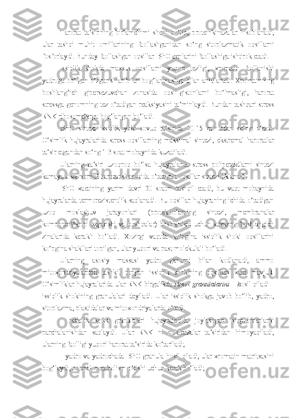 Harorat   ta’sirining   birlamchimi   sheni   bo‘lib,   p roteinkinazalar   h isoblanadi,
ular   tash q i   mu h it   omillarining   faollashganidan   s o‘ ng   sitoplazmatik   o q sillarni
fosforlaydi. Bunday faollashgan o q sillar IShO genlarini faollashiga ishtirok etadi.
Issiqlik   shokda   maxsus   o q sillarni   yuqori   tezligi,   xromatin   faollanishi
yadroga bo‘lgan   o‘ zgarishlar bilan bo g’ lanmasligi bilan ani q lanadi. Xromatinning
boshlan g’ ich   gipersezuvchan   zonasida   o q sil-gistonlarni   b o‘ lmasligi,   harorat
stressga genomning tez o‘tadigan reaksiyasini ta’minlaydi. Bundan tashqari stress
RNK ribosomalarga bo g’ langan bo‘ladi.
IShO   sintezi   issiqlik   yoki   sovuq   ta’sirida   10-15   minutdan   s o‘ ng   o‘tadi.
O‘simlik   h ujayralarida   stress   o q sillarning   maksimal   sintezi,   ekstremal   haroratlar
ta’sir etgandan so‘ng 1-3 soat mobaynida kuzatiladi.
Ularning   ta’siri   uzo q ro q   b o‘ lsa   h ujayralarda   stress   polipeptidlarni   sintezi
kamayadi va normal  harorat  sharoitida o‘tadigan o q sillar sintezi tiklanadi.
IShO   xaetining   yarim   davri   20   soatni   tashqil   etadi,   bu   vaqt   mobaynida
h ujayralarda termorezistentlik saqlanadi. Bu oqsillar  hujayraning ichida o‘tadigan
uzoq   moslashuv   jarayonlari   (protektorlarning   sintezi,   membranalar
komponentlarini   uzgarishi   va   boshqalar)   boshlanishi   uchun   stressing   boshlangich
zinalarida   kerakli   bo‘ladi.   Xozirgi   vaqtda   ko‘pgina   issiqlik   shoki   oqsillarini
ko‘pgina shakllari topilgan, ular yuqori va past molekulali bo‘ladi.
Ularning   asosiy   massasi   yadro   genomi   bilan   kodlanadi,   ammo
mitoxondriyalardan   tashkil   topgan   issiqlik   shokining   oqsillari   xam   mavjud.
O‘simliklar hujayralarida ular RNK birgalikda  stress granulalarini –  h osil qiladi –
issiqlik   shokining   granulalari   deyiladi.   Ular   issiqlik   shokga   javob   bo‘lib,   yadro,
sitoplazma, plastidalar va mitoxondriyalarda o‘tadi.
–   issiqlik   shok   granulalari   h ujayraichida   joylashgan   biopolimerlarni
parchalanishdan   saqlaydi.   Ular   RNK   ni   nukleazalar   ta’siridan   himoyaqiladi,
ularning faolligi yuqori harorat ta’sirida ko‘tariladi; 
– yadro va yadrochada IShO granula   h osil qiladi, ular xromatin matritsasini
bo g‘ laydi, normal metabolism  o‘ tishi uchun kerak bo‘ladi; 