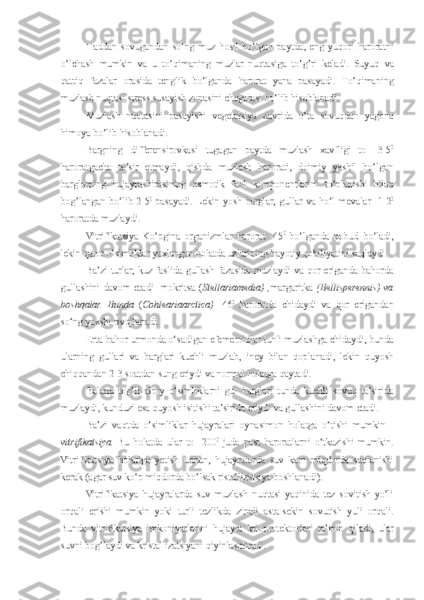 Haddan   sovugandan   so‘ng   muz   hosil   bo‘lgan   paytda,   eng   yuqori   haroratni
o‘lchash   mumkin   va   u   to‘qimaning   muzlar   nuqtasiga   to‘g’ri   keladi.   Suyuq   va
qattiq   fazalar   orasida   tenglik   bo‘lganda   harorat   yana   pasayadi.   To‘qimaning
muzlash   nuqtasi   stress   susayish   zonasini   chegarasi   bo‘lib   hisoblanadi.
Muzlash   nuqtasini   pasayishi   vegetatsiya   davrida   o‘ta   sovuqdan   yagona
himoya bo‘lib hisoblanadi.
Bargning   differensirovkasi   tugagan   paytda   muzlash   xavfligi   to   -3-5 0
haroratgacha   ta’sir   etmaydi,   qishda   muzlash   harorati,   doimiy   yashil   bo‘lgan
barglarning   hujayrashirasining   osmotik   faol   komponentlarini   to‘planishi   bilan
bog’langan   bo‘lib  2-5 0  
pasayadi.   Lekin   yosh   barglar,  gullar   va   ho‘l   mevalar   -1-2 0
haroratda   muzlaydi.
Vitrifikatsiya   Ko‘pgina   organizmlar   harorat   -45 0  
bo‘lganda   nobud   bo‘ladi,
lekin qator o‘simliklar yaxlangan holatda uzlarining hayotiy qobiliyatini saqlaydi.
Ba’zi turlar, kuz faslida gullash fazasida muzlaydi va qor eriganda bahorda
gullashini  davom  etadi-  mokritsa  ( Stellariamedia)  , margaritka   (Bellisperennis)  va
boshqalar.   Bunda   ( Cohleariaarctica)   -46 0  
haroratda   chidaydi   va   qor   erigandan
so‘ng yaxshi rivojlanadi.
Erta bahor urmonda o‘sadigan efemeroidlar tunli muzlashga chidaydi, bunda
ularning   gullari   va   barglari   kuchli   muzlab,   iney   bilan   qoplanadi,   lekin   quyosh
chiqqandan 2-3 soatdan sung eriydi va normal holatga qaytadi.
Baland   tog’li   alpiy   o‘simliklarni   gul   barglari   tunda   kuchli   sovuq   ta’sirida
muzlaydi, kunduzi esa quyosh isitishi ta’sirida eriydi va gullashini davom etadi.
Ba’zi   vaqtda   o‘simliklar   hujayralari   oynasimon   holatga   o‘tishi   mumkin   -
vitrifikatsiya.   Bu   holatda   ular   to   -200 0  
juda   past   haroratlarni   o‘tkazishi   mumkin.
Vitrifikatsiya   holatiga   yetish   uchun,   hujayralarda   suv   kam   miqdorda   saqlanishi
kerak (agar suv ko‘p miqdorda bo‘lsak ristallizatsiya boshlanadi).
Vitrifikatsiya   hujayralarda   suv   muzlash   nuqtasi   yaqinida   tez   sovitish   yo‘li
orqali   erishi   mumkin   yoki   turli   tezlikda   zinali   asta-sekin   sovutish   yuli   orqali.
Bunda   vitrifikatsiya   imkoniyatlarini   hujayra   krioprotektorlari   ta’min   qiladi,   ular
suvni bog’laydi va kristallizatsiyani qiyinlashtiradi. 