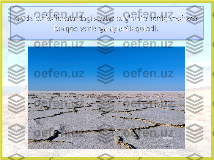 Yozda bu ko‘lchalardagi suvlar bug‘lanib ketib, sho‘rxok-
botqoq yerlarga aylanib qoladi. 
    