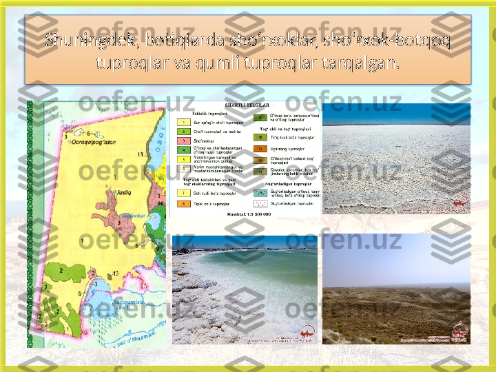 Shuningdek, botiqlarda sho‘rxoklar, sho‘rxok-botqoq 
tuproqlar va qumli tuproqlar tarqalgan.
    