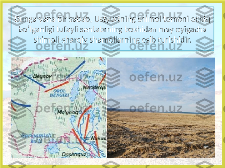 Bunga yana bir sabab, Ustyurtning shimol tomoni ochiq 
bo‘lganligi tufayli sentabrning boshidan may oyigacha 
shimoli-sharqiy shamollarning esib turishidir.   