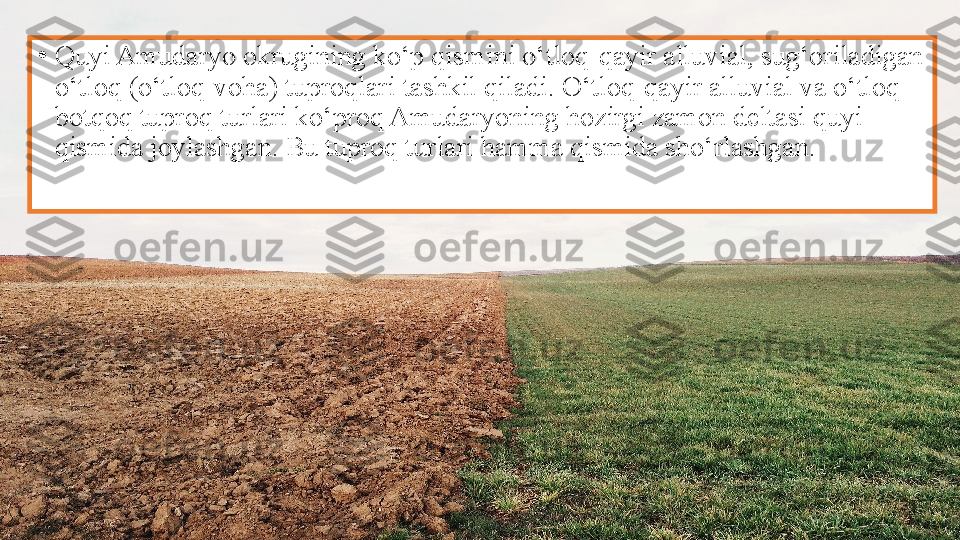 •
Quyi Amudaryo okrugining ko‘p qismini o‘tloq-qayir alluvial, sug‘oriladigan 
o‘tloq (o‘tloq-voha) tuproqlari tashkil qiladi. O‘tloq-qayir alluvial va o‘tloq-
botqoq tuproq turlari ko‘proq Amudaryoning hozirgi zamon deltasi quyi 
qismida joylashgan. Bu tuproq turlari hamma qismida sho‘rlashgan. 