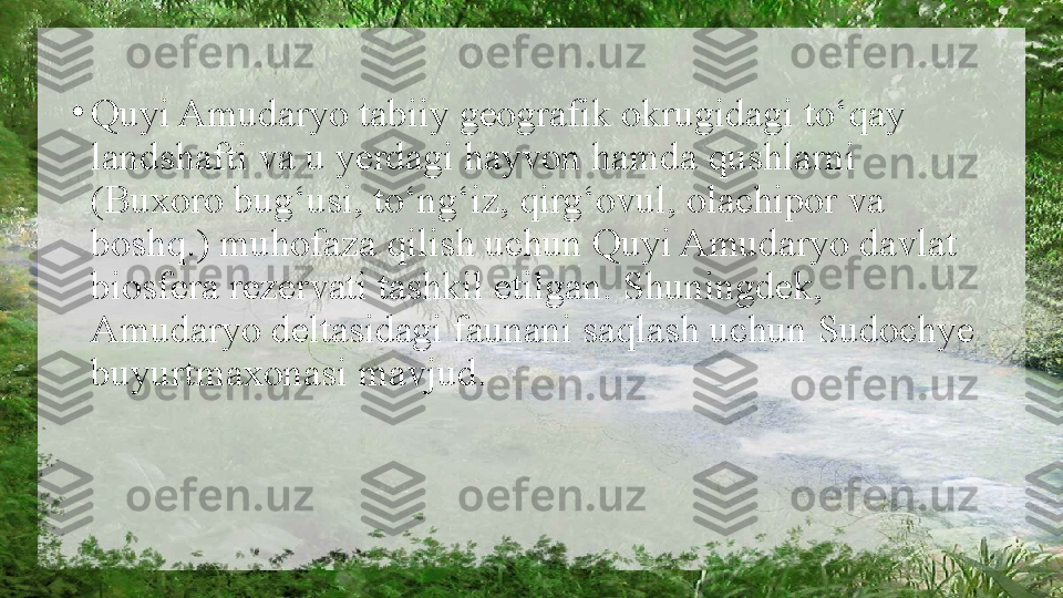 •
Quyi Amudaryo tabiiy geografik okrugidagi to‘qay 
landshafti va u yerdagi hayvon hamda qushlarni 
(Buxoro bug‘usi, to‘ng‘iz, qirg‘ovul, olachi р or va 
boshq.) muhofaza qilish uchun Quyi Amudaryo davlat 
biosfera rezervati tashkil etilgan. Shuningdek, 
Amudaryo deltasidagi faunani saqlash uchun Sudochye 
buyurtmaxonasi mavjud. 