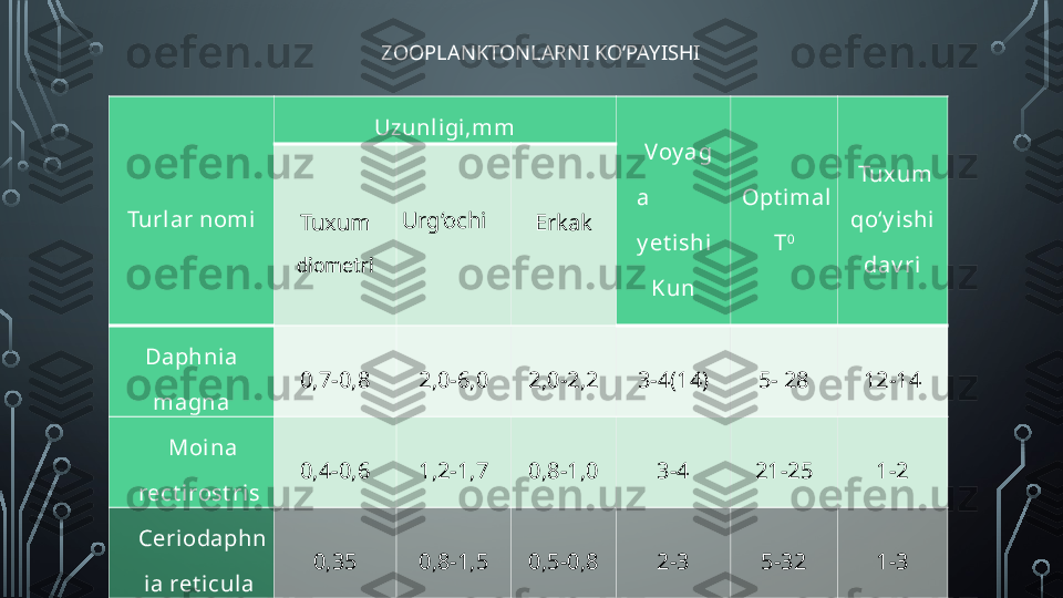 ZOOPLANKTONLARNI KO‘PAYISHI
Turl ar nomi Uzunligi,mm
Voy ag
a 
y et ishi
Kun   Opt imal 
T 0   Tux um 
qo‘y ishi  
dav riTuxum  
diometri Urg‘ochi
♀ Erkak
Daph nia 
magna 0,7-0,8 2,0-6,0 2,0-2,2 3-4(14) 5- 28 12-14
Moina 
rect i rost ris 0,4-0,6 1,2-1,7 0,8-1,0 3-4 21-25 1-2
Ceriodaphn
ia ret icula 0,35 0,8-1,5 0,5-0,8 2-3 5-32 1-3
Brach 
cal y cifl onis 0,10 - -   - 22-35 0,5  