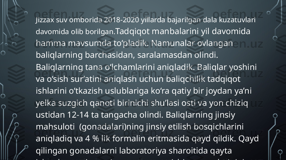 Jizzax suv omborida 2018-2020 yillarda bajarilgan dala kuzatuvlari 
davomida olib borilgan. Tadqiqot manbalarini yil davomida 
hamma mavsumda to‘pladik. Namunalar ovlangan 
baliqlarning barchasidan, saralamasdan olindi. 
Baliqlarning tana o‘lchamlarini aniqladik. Baliqlar yoshini 
va o‘sish sur’atini aniqlash uchun baliqchilik tadqiqot 
ishlarini o‘tkazish uslublariga ko‘ra qatiy bir joydan ya’ni 
yelka suzgich qanoti birinichi shu’lasi osti va yon chiziq 
ustidan 12-14 ta tangacha olindi. Baliqlarning jinsiy 
mahsuloti  (gonadalari)ning jinsiy etilish bosqichlarini 
aniqladi q  va 4 % lik formalin eritmasida qayd qildik. Qayd 
qilingan gonadalarni laboratoriya sharoitida qayta 
ishlash orqali ularning mutlaq va nisbiy serpushtligini 
aniqladi .  