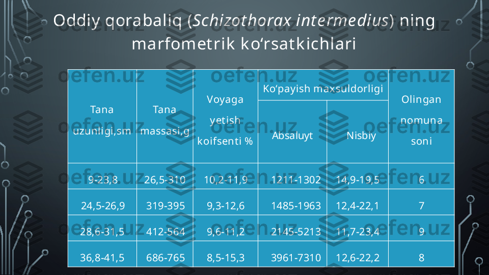 Oddiy  qorabaliq  ( Schizot horax   int e rme dius )  ning 
marfomet rik  k o‘rsat k ichlari
Tana 
uzunli gi,sm Tana 
massasi,g Voy aga 
y et ish 
k oifsent i % Ko‘pay ish max sul dorligi
Ol ingan 
nomuna 
soniAbsaluyt Nisbiy
9-23,8 26,5-310 10,2-11,9 1211-1302 14,9-19,5 6
24,5-26,9 319-395 9,3-12,6 1485-1963 12,4-22,1 7
28,6-31,5 412-564 9,6-11,2 2145-5213 11,7-23,4 9
36,8-41,5 686-765 8,5-15,3 3961-7310 1 2 ,6-22,2 8  