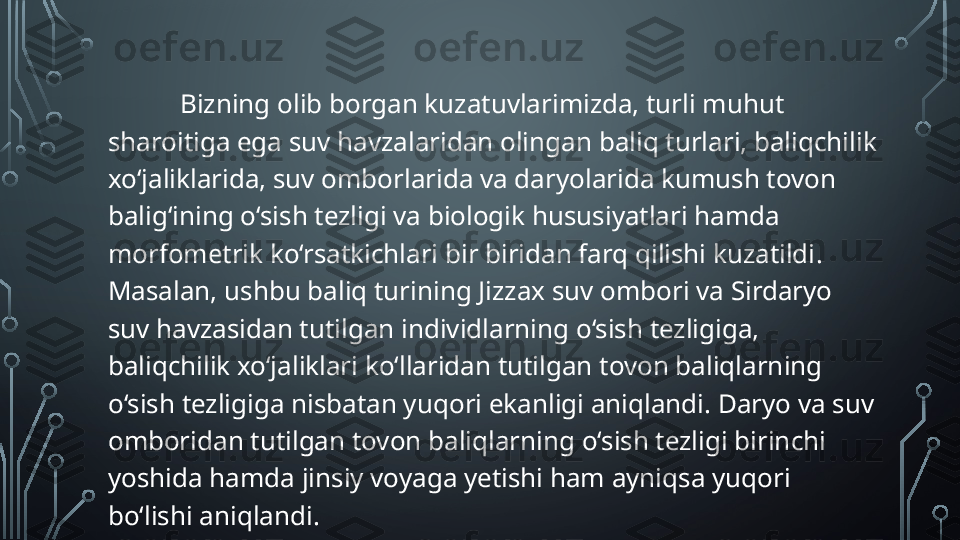 Bizning olib borgan kuzatuvlarimizda, turli muhut 
sharoitiga ega suv havzalaridan olingan baliq turlari, baliqchilik 
xo‘jaliklarida, suv omborlarida va daryolarida kumush tovon 
balig‘ining o‘sish tezligi va biologik hususiyatlari hamda 
morfometrik ko‘rsatkichlari bir biridan farq qilishi kuzatildi . 
Masalan, ushbu baliq turining Jizzax suv ombori va Sirdaryo 
suv havzasidan tutilgan individlarning o‘sish tezligiga, 
baliqchilik xo‘jaliklari ko‘llaridan tutilgan tovon baliqlarning 
o‘sish tezligiga nisbatan yuqori ekanligi aniqlandi. Daryo va suv 
omboridan tutilgan tovon baliqlarning o‘sish tezligi birinchi 
yoshida hamda jinsiy voyaga yetishi ham ayniqsa yuqori 
bo‘lishi aniqlandi.   