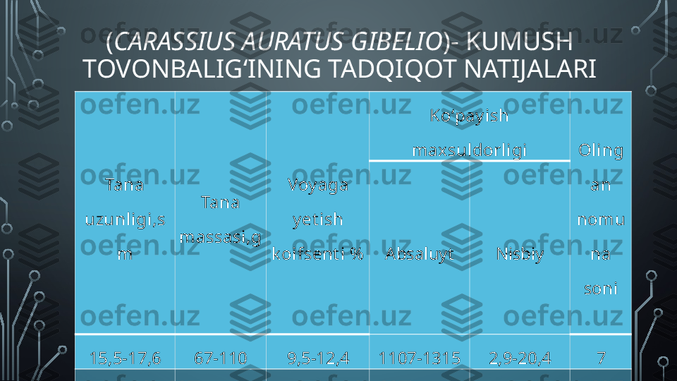 ( CARASSIUS AURATUS  GIBELIO )- KUMUSH 
TOVONBALIG‘INING TADQIQOT NATIJALARI
Tana 
uzunligi,s
m Tana 
massasi,g Voy aga 
y et ish 
k oifsent i % Ko‘pay ish 
maxsuldorligi Oling
an 
nomu
na 
soniAbsaluyt Nisbiy
15,5-17,6 67-110 9,5-12,4 1107-1315 2,9-20,4 7
17,6-20,0 110-158 9,2-12,6 1310-2115 4,4-23,0 5
20,5-24,2 160-216 7,5-16,5 2345-6436 13,2-22,0 13
24,5-27,2 218-265 9,3-12,3 4180-7802 0,6-21,1 4  