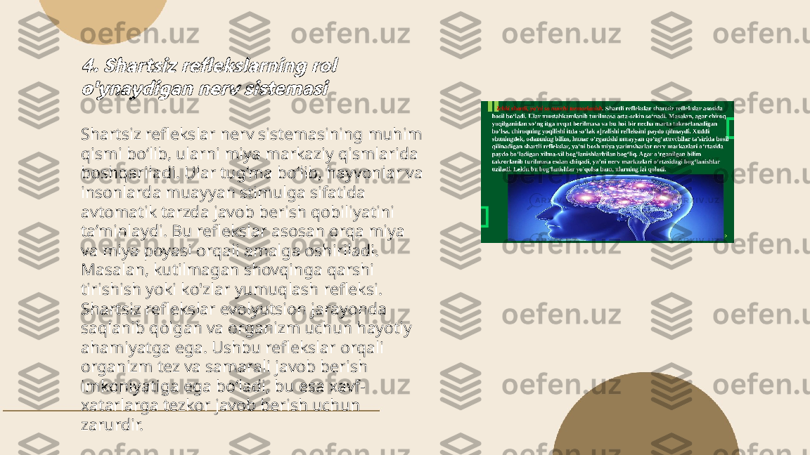 ...
t.me/slaydai_bot4. Shartsiz reflekslarning rol 
o'ynaydigan nerv sistemasiShartsiz reflekslar nerv sistemasining muhim 
qismi bo‘lib, ularni miya markaziy qismlarida 
boshqariladi. Ular tug‘ma bo‘lib, hayvonlar va 
insonlarda muayyan stimulga sifatida 
avtomatik tarzda javob berish qobiliyatini 
ta’minlaydi. Bu reflekslar asosan orqa miya 
va miya poyasi orqali amalga oshiriladi. 
Masalan, kutilmagan shovqinga qarshi 
tirishish yoki ko'zlar yumuqlash refleksi. 
Shartsiz reflekslar evolyutsion jarayonda 
saqlanib qolgan va organizm uchun hayotiy 
ahamiyatga ega. Ushbu reflekslar orqali 
organizm tez va samarali javob berish 
imkoniyatiga ega bo‘ladi, bu esa xavf-
xatarlarga tezkor javob berish uchun 
zarurdir. 