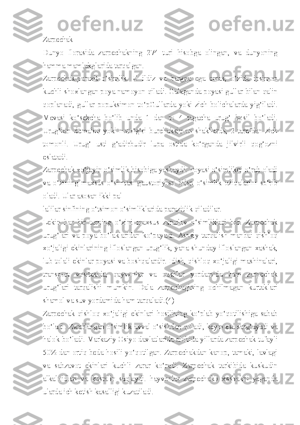 Zarpechak — 
Dunyo   florasida   zarpechakning   274   turi   hisobga   olingan,   va   dunyoning
hamma mamlakglarida tarqalgan.
Zarpechak-parazit   o‘simlik.   U   ildiz   va   bargga   ega   emas,   o‘zida   ipsimon
kuchli shoxlangan poya namoyon qiladi. Gulaganda poyasi gullar bilan qalin
qoplanadi,  gullar  popuksimon  to‘pGullarda  yoki  zich  bolichalarda  yig‘iladi.
Mevasi   ko‘sakcha   bo‘lib   unda   1   dan   to   4   tagacha   urug‘   hosil   bo‘ladi.
Urug‘lari   dumaloq   yoki   noto‘g‘ri   burchaksimon   shakllarda,   2   tarafdan   zich
tomonli.   Urug‘   usti   g‘adirbudir   lupa   ostida   ko‘rganda   jilvirli   qog‘ozni
eslatadi.
Zarpechak xo‘jayin o‘simlik hisobiga yashaydi. Poyasi o‘simlikni o‘rab oladi
va   o‘zining   maxsus   o‘simtasi-gaustoriylari   bilan   o‘simlik   oziqalarini   so‘rib
oladi. Ular asosan ikki pal-
lalilar sinfining o‘tsimon o‘simliklarida parazitlik qiladilar.
Lekin   har   bir   turning   o‘zini   maxsus   zararlov   o‘simliklari   bor.   Zarpechak
urug‘lari   va   poya   bo‘laklaridan   ko‘payadi.   Asosiy   tarqalish   manbai   qishloq
xo‘jaligi ekinlarining ifloslangan urug‘lik, yana shunday ifloslangan xashak,
lub tolali ekinlar poyasi va boshqalardir. Idish, qishloq xo‘jaligi mashinalari,
transport   vositasida,   qayvonlar   va   qushlar   yordamida   ham   zarpechak
urug‘lari   tarqalishi   mumkin.   Dala   zarpechagining   ochilmagan   kurtaklari
shamol va suv yordamida ham tarqaladi.(4)
Zarpechak   qishloq   xo‘jaligi   ekinlari   hosilining   ko‘plab   yo‘qotilishiga   sabab
bo‘ladi. Zararlangan o‘simlik avval o‘sishdan qoladi, keyin esa sarg‘ayadi va
halok bo‘ladi. Markaziy Osiyo davlatlarida alohida yillarda zarpechak tufayli
50% dan ortiq beda hosili yo‘qotilgan. Zarpechakdan kanop, tamaki, lavlagi
va   sabzavot   ekinlari   kuchli   zarar   ko‘radi.   Zarpechak   tarkibida   kuskudin
alkaloidlari   va   kustalin   saqlaydi.   hayvonlar   zarpechakli   xashakni   yeganda
ularda ich ketish kasalligi kuzatiladi. 