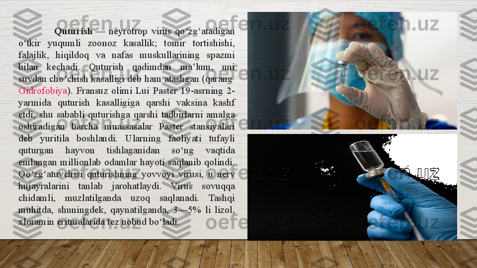 Quturish  — neyrotrop	 virus	 qo zg atadigan	 	ʻ ʻ
o tkir	
 	yuqumli	 	zoonoz	 	kasallik;	 	tomir	 	tortishishi,	 	ʻ
falajlik,	
 	hiqildoq	 	va	 	nafas	 	muskullarining	 	spazmi	 
bilan	
 	kechadi.	 	Quturish	 	qadimdan	 	ma lum,	 	uni	 	ʼ
suvdan	
 cho chish	 kasalligi	 deb	 ham	 atashgan	 (qarang 	ʻ
Gidrofobiya ).	
 Fransuz	 olimi	 Lui	 Paster	 19-asrning	 2-
yarmida	
 	quturish	 	kasalligiga	 	qarshi	 	vaksina	 	kashf	 
etdi,	
 shu	 sababli	 quturishga	 qarshi	 tadbirlarni	 amalga	 
oshiradigan	
 	barcha	 	muassasalar	 	Paster	 	stansiyalari	 
deb	
 	yuritila	 	boshlandi.	 	Ularning	 	faoliyati	 	tufayli	 
quturgan	
 	hayvon	 	tishlaganidan	 	so ng	 	vaqtida	 	ʻ
emlangan	
 millionlab	 odamlar	 hayoti	 saqlanib	 qolindi.	 
Qo zg atuvchisi	
 quturishning	 yovvoyi	 virusi,	 u	 nerv	 	ʻ ʻ
hujayralarini	
 	tanlab	 	jarohatlaydi.	 	Virus	 	sovuqqa	 
chidamli,	
 	muzlatilganda	 	uzoq	 	saqlanadi.	 	Tashqi	 
muhitda,	
 shuningdek,	 qaynatilganda,	 3—5%	 li	 lizol,	 
xloramin	
 eritmalarida	 tez	 nobud	 bo ladi.	ʻ  