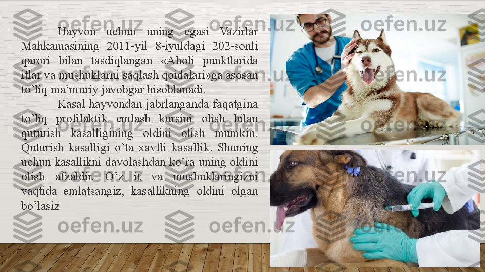 Hayvon 	uchun	 	uning	 	egasi	 	Vazirlar	 
Mahkamasining	
 	2011-yil	 	8-iyuldagi	 	202-sonli	 
qarori	
 	bilan	 	tasdiqlangan	 	«Aholi	 	punktlarida	 
itlar	
 va	 mushuklarni	 saqlash	 qoidalari»ga	 asosan	 
to’liq	
 ma’muriy	 javobgar	 hisoblanadi.
Kasal	
 hayvondan	 jabrlanganda	 faqatgina	 
to’liq	
 	profilaktik	 	emlash	 	kursini	 	olish	 	bilan	 
quturish	
 	kasalligining	 	oldini	 	olish	 	mumkin.
Quturish	
 kasalligi	 o’ta	 xavfli	 kasallik.	 Shuning	 
uchun	
 kasallikni	 davolashdan	 ko’ra	 uning	 oldini	 
olish	
 	afzaldir.	 	O’z	 	it	 	va	 	mushuklaringizni	 
vaqtida	
 	emlatsangiz,	 	kasallikning	 	oldini	 	olgan	 
bo’lasiz  