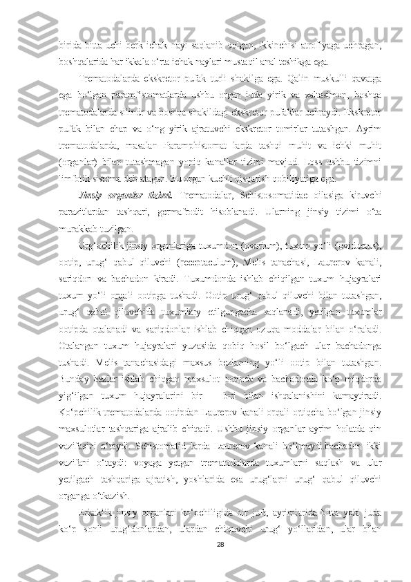 birida   bitta   uchi   berk   ichak   nayi   saqlanib   qolgan,   ikkinchisi   atrofiyaga   uchragan,
boshqalarida har ikkala o‘rta ichak naylari mustaqil anal teshikga ega.
Trematodalarda   ekskretor   pufak   turli   shakilga   ega.   Qalin   muskulli   qavatga
ega   bo‘lgan   paramfistomatlarda   ushbu   organ   juda   yirik   va   xaltasimon,   boshqa
trematodalarda silindr va boshqa shakildagi ekskretor pufaklar uchraydi. Ekskretor
pufak   bilan   chap   va   o‘ng   yirik   ajratuvchi   ekskretor   tomirlar   tutashgan.   Ayrim
trematodalarda,   masalan   Paramphistomat   larda   tashqi   muhit   va   ichki   muhit
(organlar)   bilan   tutashmagan   yopiq   kanallar   tizimi   mavjud.   Loss   ushbu   tizimni
limfotik sistema deb atagan. Bu organ kuchli qisqarish qobiliyatiga ega.
Jinsiy   organlar   tizimi.   Trematodalar,   Schistosomatidae   oilasiga   kiruvchi
parazitlardan   tashqari,   germafrodit   hisoblanadi.   Ularning   jinsiy   tizimi   o‘ta
murakkab tuzilgan.
Urg‘ochilik jinsiy organlariga tuxumdon (ovarium), tuxum yo‘li (oviductus),
ootip,   urug‘   qabul   qiluvchi   (receptaculum),   Melis   tanachasi,   Laurerov   kanali,
sariqdon   va   bachadon   kiradi.   Tuxumdonda   ishlab   chiqilgan   tuxum   hujayralari
tuxum   yo‘li   orqali   ootipga   tushadi.   Ootip   urug‘   qabul   qiluvchi   bilan   tutashgan,
urug‘   qabul   qiluvchida   tuxumlary   etilgungacha   saqlanadi,   yetilgan   tuxumlar
ootipda   otalanadi   va   sariqdonlar   ishlab   chiqqan   ozuqa   moddalar   bilan   o‘raladi.
Otalangan   tuxum   hujayralari   yuzasida   qobiq   hosil   bo‘lgach   ular   bachadonga
tushadi.   Melis   tanachasidagi   maxsus   bezlarning   yo‘li   ootip   bilan   tutashgan.
Bunday   bezlar   ishlab   chiqgan   maxsulot   ootipda   va   bachadonda   ko‘p   miqdorda
yig‘ilgan   tuxum   hujayralarini   bir   –   biri   bilan   ishqalanishini   kamaytiradi.
Ko‘pchilik trematodalarda ootipdan Laurerov kanali orqali ortiqcha bo‘lgan jinsiy
maxsulotlar   tashqariga   ajralib   chiqadi.   Ushbu   jinsiy   organlar   ayrim   holatda   qin
vazifasini   o‘taydi.   Schistomatid   larda   Laurerov   kanali   bo‘lmaydi.bachadon   ikki
vazifani   o‘taydi:   voyaga   yetgan   trematodalarda   tuxumlarni   saqlash   va   ular
yetilgach   tashqariga   ajratish,   yoshlarida   esa   urug‘larni   urug‘   qabul   qiluvchi
organga o‘tkazish.
Erkaklik   jinsiy   organlari   ko‘pchiligida   bir   juft,   ayrimlarida   bitta   yoki   juda
ko‘p   sonli   urug‘donlardan,   ulardan   chiquvchi   urug‘   yo‘llaridan,   ular   bilan
28 