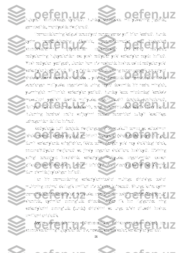 hujayrali   sporotsistaga   aylanadi.   Bunday   sporotsista   mollyuskaning   jigarida,
gemotselida, mantiyasida rivojlanadi.
Trematodalarning kelgusi taraqqiyoti partenogenez yo‘l bilan kechadi. Bunda
ayrim   trematodalarning   (fassiola,   paramfistomatlar   va   boshqalar)
sporotsistalarining   hujayralaridan   otalanmasdan   (qizligicha)   rediyalar,
rediyalarning   hujayralaridan   esa   yosh   rediyalar   yoki   serkariylar   paydo   bo‘ladi.
Yosh rediyalar     y etilgach, ulardan ham o‘z navbatida boshqa avlod rediyalar yoki
serkariylar hosil bo‘ladi. Shu yo‘sinda trematodalarning partenogenetik taraqqiyoti
cheksiz   davom   etaveradi.   Natijada   u   yoki   bu   trematodalarning   partenitlari   bilan
zararlangan   mollyuska   organizmida   uning   hayoti   davomida   bir   necha   minglab,
yuzminglab   millionlab   serkariylar   yetiladi.   Bunday   katta   miqdordagi   keraksiz
maxsulotni   yetilishi   davrida   mollyuska   organi   kuchli   darajada   jarohatlanadi,
faoliyati  buziladi. Hajmiga kattalashib, rangi qoramtir  tusdan sarg‘ish tusni  oladi.
Bularning   barchasi   oraliq   xo‘jayinni   parazit   partenitlari   tufayli   kasallikga
uchraganidan dalolat bo‘radi.
Rediyalarda   turli   darajada   rivojlangan   og‘iz,   muskulli   tamoq   va   xaltasimon
ichak   mavjud.   Rediya   ichidagi   embrionli   hujayralar   (sharlar)   dan   paydo   bo‘lgan
dumli   serkariylarda   so‘rg‘ichlar,   ikkita   tarmoqlangan   yoki   nay   shaklidagi   ichak,
protonefridiyalar   rivojlanadi   va   jinsiy   organlar   shakillana   boshlaydi.   O‘zining
so‘ngi   taraqqiyot   bosqichida   serkariylar   mollyuska   organizmidan   asosan
glikogendan   iborat,   zaxira   oziqasini   to‘playdi.   Bu   oziqaning   ko‘pchiligi   ularning
dum qismida joylashgan bo‘ladi.
Har   bir   trematodaning   serkariylarinitashqi   muhitga   chiqishga   tashqi
muhitning   optimal   ekologik   omillari   o‘z   ta’sirini   ko‘rsatadi.   Shunga   ko‘ra   ayrim
trematodalarning serkariylari mollyuska organizmidan tashqi muhitga faqat yorug‘
sharoitda,   ayrimlari   qorong‘uda   chiqadi.   Bizlar   ilk   bor   F.gigantica   ning
serkariylarini   qorong‘uda   (tunda)   chiqishini   va   unga   ta’sir   qiluvchi   boshqa
omillarni aniqladik.
Ayrim   trematodalarning     (Dicrocoeliidae,   Schistosomatidae   oilalari)   ona
sporotsistalarining hujayralaridan qiz, nevara, sporotsistalar, serkariylar  y etiladi. 
35 