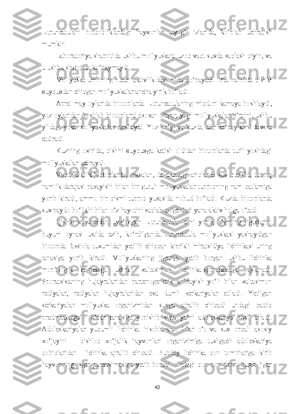 L.truncatulani   botqoqliklardagi   hayvonlar   tuyog‘i   izlarida,   ko‘plab   uchratish
mumkin.
Laboratoriya sharoitida ushbu mollyuskani uzoq vaqt suvda saqlash qiyin, va
u ushbu sharoitda ko‘paymaydi.
Mollyuska umrining butun aktivlik davomida ko‘payadi. Erta bahorda qishki
«uyqu»dan chiqgan mollyuskalar ancha yirik bo‘ladi.
Aprel-may   oylarida   biotoplarda   L.truncatulaning   miqdori   kamaya   boshlaydi,
yoz oylaridan boshlab biotoplarni asosan o‘tgan yilgi mollyuskalar o‘rnini, ushbu
yildagi  yosh mollyuskalar  egallaydi.  Yoz bo‘yi  va kuzda  ular  ko‘payishni  davom
etdiradi.
Kuzning   oxirida,   qish ni   «uyqu»ga   ketish   oldidan   biotoplarda   turli   yoshdagi
mollyuskalar uchraydi.
Vaqtinchalik   biotoplarda,   masalan,   dalalardagi   ariqlarda   suv   qurishi,   tuproq
namlik darajasi  pasayishi  bilan bir guruh mollyuskalar tuproqning nam qatlamiga
yorib   kiradi,   ammo   bir   qismi   tuproq   yusasida   nobud   bo‘ladi.   Kuzda   biotoplarda
suv paydo bo‘lishi bilan o‘z hayotini saqlab qolganlari yana aktiv holga o‘tadi.
Qishqi   «uyqu»dan   uyg‘ongan   L.truncatula   larni   yorib,   ularning   jigarlarini
buyum   oynasi   ustida   ezib,   ko‘rdilganda.L.truncatula   mollyuskasi   yashaydigan
biotopda   fassiola   tuxumidan   yetilib   chiqqan   kiprikli   miratsidiya   lichinkasi   uning
tanasiga   yorib   kiradi.   Mollyuskaning   jigariga   yetib   borgan   ushbu   lichinka
morfologik   regressga   uchrab   xaltasimon   lichinka-sporatsistaga   aylanadi.
Sporatsistaning   hujayralaridan   partenogenetik   ko‘payish   yo‘li   bilan   xaltasimon
rediyalar,   rediyalar   hujayralaridan   esa   dumli   serkariyalar   etiladi.   Yetilgan
serkariyalar   mollyuska   organizmidan   suvga   ajralib   chiqadi   undagi   qattiq
predmedlarga   –   o‘tlar   tanasiga   yopishib   sista   ya’ni   adoleskariya   hosil   qiladi.
Adoleskariyalar   yuqumli   lichinka   hisoblanadi.   Ular   o‘t   va   suv   orqali   asosiy
xo‘jayini   –   qishloq   xo‘jalik   hayvonlari   organizimiga   tushgach   adoleskariya
qobiqlaridan     lichinka   ajralib   chiqadi.   Bunday   lichinka   qon   tomirlariga   kirib
hayvonning   jigar   parenximasiga   yetib   boradi.   Undagi   qon   tomirlarni   buzib   jigar
43 