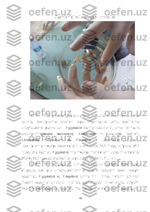 Jigardan ajratib olingan F.hepatica
2003   -   2007   yillarda   Qoraqalpog‘iston   hududida   boshqa   trematodozlar
qatorida   fassiolyozning   tarqalishi   qayta   o‘rganilganda   ushbu   kasallikning
qo‘zg‘atuvchisi   yagona   tur   -   F.gigantica   ekanligi   tasdiqlandi,   uning   lichinkalik
taraqqiyotini Lymnaea   auricularia,   L.bactriana   mollyuskalarida   kechishi,
L.truncatula   mollyuskasini   va   F.hepatica   ni   uchramasligi   aniqlandi.
Fassiolyozning   invaziya   ekstensivligini   qoramollarda   37,2   foizga,   qo‘ylarda   56.3
foizga teng ekanligi,   F.gigantica   ning invaziya intensivligini  ularga mos ravishda
56,7 va 57,2 nusxaga teng ekanligi qayd qilindi[59; 18-b., 60; 19-b.].
2006   –   2010   yillarda   olib   borilgan   tadqiqotlar   natijasida   Surxondaryo
viloyatida   fassiolyoz   qo‘zg‘atuvchilarining   tarqalish   darajasini   keskin   pasayib
ketganligi,   F.gigantica   va   F.hepatica   larning   bir   –   biriga   nisbatini   tamoman
o‘zgarib   ketganligi   aniqlandi.   Endilikda   sug‘oriladigan   biosenozlarda   qo‘ylarni
38,9 foiz fassiolyozga chalinganligi, o‘rta invaziya intensivligi 31,3 nusxaga tushib
49 