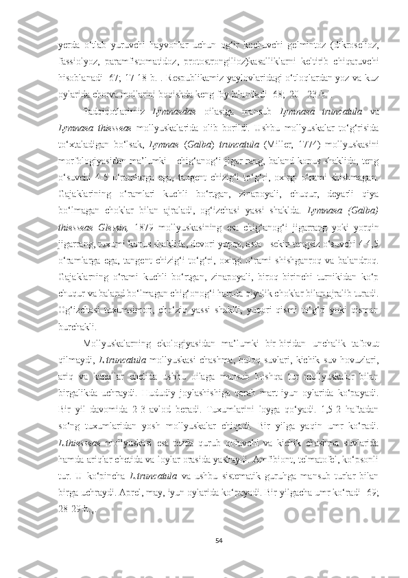 yerda   o‘tlab   yuruvchi   hayvonlar   uchun   og‘ir   kechuvchi   gelmintoz   (dikroselioz,
fassiolyoz,   paramfistomatidoz,   protostrongilioz)kasalliklarni   keltirib   chiqaruvchi
hisoblanadi [67; 17-18-b.]. Respublikamiz yaylovlaridagi o‘tloqlardan yoz va kuz
oylarida chorva mollarini boqishda keng foydalaniladi [68;  20 - 23-b.].
Tadqiqotlarimiz   Lymnaedae   oilasiga   mansub   Lymnaea   truncatula   va
Lymnaea   thiesseae   mollyuskalarida   olib   borildi.   Ushbu   mollyuskalar   to‘g‘risida
to‘xtaladigan   bo‘lsak,   Lymnae   ( Galba )   truncatula   (Miller,   1774)   mollyuskasini
morfologiyasidan   ma’lumki   -   chig‘anog‘i   jigar   rang,   baland   konus   shaklida,   teng
o‘suvchi   4-5   o‘ramlarga   ega,   tangent   chizig‘i   to‘g‘ri,   oxirgi   o‘rami   shishmagan.
Gajaklarining   o‘ramlari   kuchli   bo‘rtgan,   zinapoyali,   chuqur,   deyarli   qiya
bo‘lmagan   choklar   bilan   ajraladi,   og‘izchasi   yassi   shaklda.   Lymnaea   (Galba)
thiesseae   Glessin,   1879   mollyuskasining   esa   chig‘anog‘i   jigarrang   yoki   yorqin
jigarrang, tuxumi konus shaklida, devori yupqa, asta - sekin tengsiz o‘suvchi 4-4,5
o‘ramlarga   ega,   tangent   chizig‘i   to‘g‘ri,   oxirgi   o‘rami   shishganroq   va   balandroq.
Gajaklarning   o‘rami   kuchli   bo‘rtgan,   zinapoyali,   biroq   birinchi   turnikidan   ko‘p
chuqur va baland bo‘lmagan chig‘onog‘i hamda qiyalik choklar bilan ajralib turadi.
Og‘izchasi   tuxumsimon,   cho‘ziq   yassi   shaklli,   yuqori   qismi   to‘g‘ri   yoki   qisman
burchakli. 
Mollyuskalarning   ekologiyasidan   ma’lumki   bir-biridan   unchalik   tafovut
qilmaydi,   L.truncatula   mollyuskasi   chashma,   buloq  suvlari,   kichik   suv  hovuzlari,
ariq   va   kanallar   chetida   ushbu   oilaga   mansub   boshqa   tur   mollyuskalar   bilan
birgalikda   uchraydi.   Hududiy   joylashishiga   qarab   mart-iyun   oylarida   ko‘payadi.
Bir   yil   davomida   2-3   avlod   beradi.   Tuxumlarini   loyga   qo‘yadi.   1,5-2   haftadan
so‘ng   tuxumlaridan   yosh   mollyuskalar   chiqadi.   Bir   yilga   yaqin   umr   ko‘radi.
L.thiesseae   mollyuskasi   esa   tezda   qurub   qoluvchi   va   kichik   chashma   suvlarida
hamda ariqlar chetida va loylar orasida yashaydi. Amfibiont, telmatofel, ko‘psonli
tur.   U   ko‘pincha   L.truncatula   va   ushbu   sistematik   guruhga   mansub   turlar   bilan
birga uchraydi. Aprel, may, iyun oylarida ko‘payadi. Bir yilgacha umr ko‘radi [ 69 ;
28-29-b.].
54 