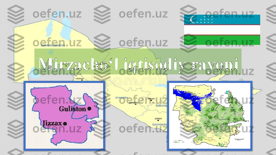 Mirzacho‘l iqtisodiy rayoni    