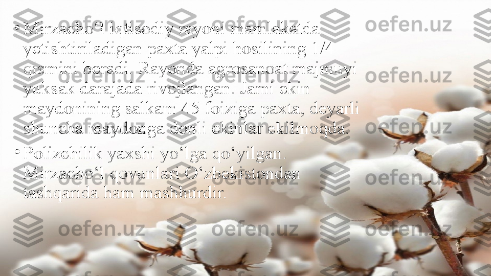 •
Mirzacho‘l iqtisodiy rayoni mamlakatda 
yetishtiriladigan paxta yalpi hosilining 1/4 
qismini beradi. Rayonda agrosanoat majmuyi 
yuksak darajada rivojlangan. Jami ekin 
maydonining salkam 45 foiziga paxta, deyarli 
shuncha maydonga donli ekinlar ekilmoqda.
•
Polizchilik yaxshi yo‘lga qo‘yilgan. 
Mirzacho‘l qovunlari O‘zbekistondan 
tashqarida ham mashhurdir. 