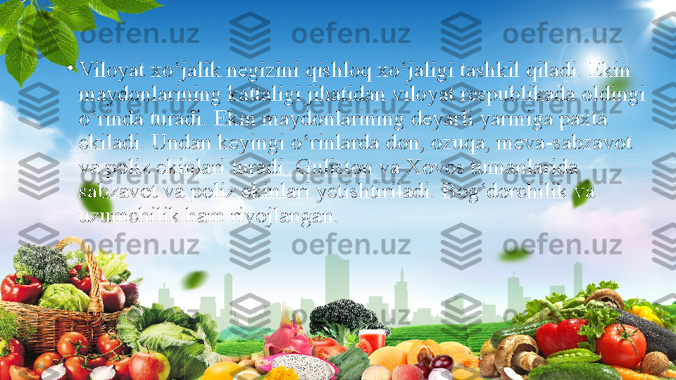 •
Viloyat xo‘jalik	 negizini	 qishloq	 xo‘jaligi	 tashkil	 qiladi.	 Ekin	 
maydonlarining	
 kattaligi	 jihatidan	 viloyat	 respublikada	 oldingi	 
o‘rinda	
 turadi.	 Ekin	 maydonlarining	 deyarli	 yarmiga	 paxta	 
ekiladi.	
 Undan	 keyingi	 o‘rinlarda	 don,	 ozuqa,	 meva-sabzavot	 
va	
 poliz	 ekinlari	 turadi.	 Guliston	 va	 Xovos	 tumanlarida	 
sabzavot	
 va	 poliz	 ekinlari	 yetishtiriladi.	 Bog‘dorchilik	 va	 
uzumchilik	
 ham	 rivojlangan. 