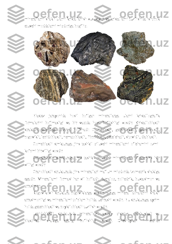 minerallarni shakli ularni kristallanish xususiyati va kristallarni tuzilishida ishtirok
etuvchi moddalarni miqdoriga bog‘liq. 
Blastez   jarayonida   hosil   bo‘lgan   minerallarga   ularni   kristallografik
formalarini   bo‘lmasligi   va   bir   vaqtda   hosil   bo‘lishligi   xosdir.   Kristalloblastli
straktura   quyidagi   turlarga   bo’linadi:   Gomeblastli,   geteroblastli,   granoblastli,
rogovikli, lepidoblastli, nematoblastli, fibroblastli, petelchatli, sitovidli, diablastli. 
Gomeblastli   stmkturaga   jins   tashkil   qiluvchi   minerallarni   o‘lchamini   ozmi-
ko‘pmi birxilligi xosdir
Geteroblastli   stmkturaga   jins   tashkil   qiluvchi   minerallarni   o‘lchamini   har
xilligi xosdir
Granoblastli strukturada jins minerallari ma’lum miqdorda izometrik shaklga
egadir.   Minerallami   formasi   har   xil   bo‘ladi:   dumaloq,   poliedrik,   buxtasimon   va
arrasimon. 
Rogovikovli   struktura   rogoviklarga   xosdir.   Unga   mineral   donalarini   shakli
arrasimonligi va minerallami to‘plam holida uchrashi xosdir. Bu strukturaga ayrim
holda geteroblastli va poykiloblastli tuzilish xosdir. 
Lepidoblastli   strukturada   minerallami   asosiy   qismiga   cheshuykali   va
plastinkali   shaklga   egaligi   bo‘lishligi   xosdir.   Cheshuykali   minerallar 