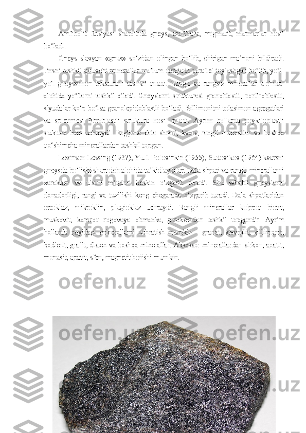 Amfibolit   fatsiyasi   sharoitida   gneys,   amfibolit,   migmatit,   marmarlar   hosil
bo‘ladi. 
Gneys   slavyan   «gnus»   so‘zidan   olingan   bo‘lib,   chirigan   ma’noni   bildiradi.
Jinsni tashkil qiluvchi minerallar ma’lum darajada parallel joylashgan bo‘lib, yo‘l-
yo‘l-gneyssimon   teksturani   tashkil   qiladi.   Rangli   va   rangsiz   minerallar   alohida-
alohida   yo‘llarni   tashkil   qiladi.   Gneyslarni   strukturasi   granoblastli,   porfiroblastli,
slyudalar ko‘p bo‘lsa granolepidoblastli bo‘ladi. Sillimonitni tolasimon agregatlari
va   spletiniesi   fibroblastli   struktura   hosil   qiladi.   Ayrim   hollarda   poykiloblastli
stuktura   ham   uchraydi.   Tog‘jinsi   dala   shpati,   kvars,   rangli   minerallar   va   boshqa
qo‘shimcha minerallardan tashkil topgan. 
Levinson-Lessing (1937), Yu.I. Polovinkin (1955), Sudovikov (1964) kvarsni
gneysda bo‘lishi shart deb alohida ta’kidlaydilar. Dala shpati va rangli minerallami
xarakteri   va   ularni   miqdori   keskin   o‘zgarib   turadi.   Shu   sababli   gneyslarni
donadorligi,   rangi   va   tuzilishi   keng   chegarada   o‘zgarib   turadi.   Dala   shpatlaridan
ortoklaz,   mikroklin,   plagioklaz   uchraydi.   Rangli   minerallar   ko'proq   biotit,
muskovit,   kamroq   rogovaya   obmanka,   piroksendan   tashkil   topgandir.   Ayrim
hollarda   quyidagi   minerallami   uchratish   mumkin   -   granat,   stavrolit,   sillimonit,
kodierit, grafit, disten va boshqa minerallar. Aksessor minerallardan sirkon, apatit,
monasit, apatit, sfen, magnetit boiishi mumkin. 