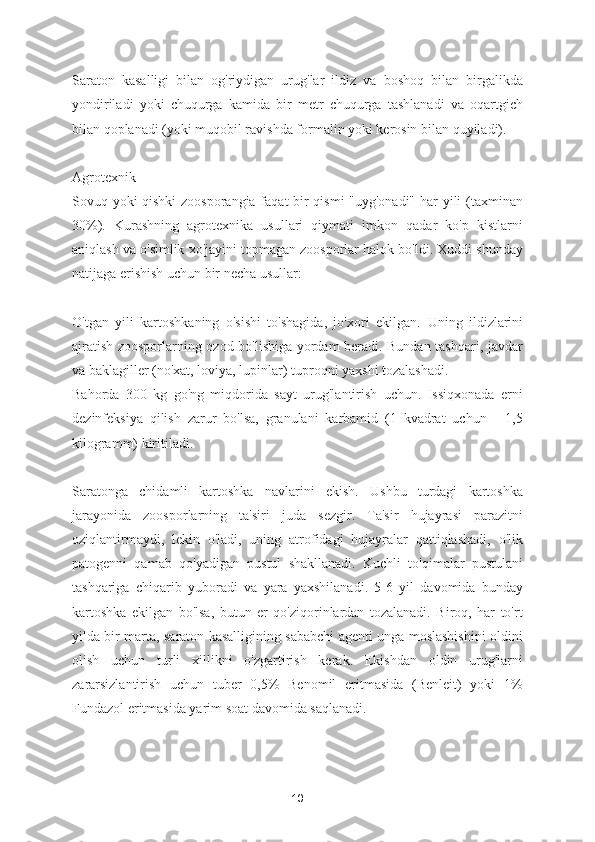 Saraton   kasalligi   bilan   og'riydigan   urug'lar   ildiz   va   boshoq   bilan   birgalikda
yondiriladi   yoki   chuqurga   kamida   bir   metr   chuqurga   tashlanadi   va   oqartgich
bilan qoplanadi (yoki muqobil ravishda formalin yoki kerosin bilan quyiladi).
Agrotexnik
Sovuq yoki qishki  zoosporangia faqat bir qismi "uyg'onadi" har yili (taxminan
30%).   Kurashning   agrotexnika   usullari   qiymati   imkon   qadar   ko'p   kistlarni
aniqlash va o'simlik xo'jayini topmagan zoosporlar halok bo'ldi. Xuddi shunday
natijaga erishish uchun bir necha usullar:
O'tgan   yili   kartoshkaning   o'sishi   to'shagida,   jo'xori   ekilgan.   Uning   ildizlarini
ajratish zoosporlarning ozod bo'lishiga yordam beradi. Bundan tashqari, javdar
va baklagiller (no'xat, loviya, lupinlar) tuproqni yaxshi tozalashadi.
Bahorda   300   kg   go'ng   miqdorida   sayt   urug'lantirish   uchun.   Issiqxonada   erni
dezinfeksiya   qilish   zarur   bo'lsa,   granulani   karbamid   (1   kvadrat   uchun   -   1,5
kilogramm) kiritiladi.
Saratonga   chidamli   kartoshka   navlarini   ekish.   Ushbu   turdagi   kartoshka
jarayonida   zoosporlarning   ta'siri   juda   sezgir.   Ta'sir   hujayrasi   parazitni
oziqlantirmaydi,   lekin   o'ladi,   uning   atrofidagi   hujayralar   qattiqlashadi,   o'lik
patogenni   qamab   qo'yadigan   pustul   shakllanadi.   Kuchli   to'qimalar   pustulani
tashqariga   chiqarib   yuboradi   va   yara   yaxshilanadi.   5-6   yil   davomida   bunday
kartoshka   ekilgan   bo'lsa,   butun   er   qo'ziqorinlardan   tozalanadi.   Biroq,   har   to'rt
yilda bir marta, saraton kasalligining sababchi agenti unga moslashishini oldini
olish   uchun   turli   xillikni   o'zgartirish   kerak.   Ekishdan   oldin   urug'larni
zararsizlantirish   uchun   tuber   0,5%   Benomil   eritmasida   (Benleit)   yoki   1%
Fundazol eritmasida yarim soat davomida saqlanadi.
10 