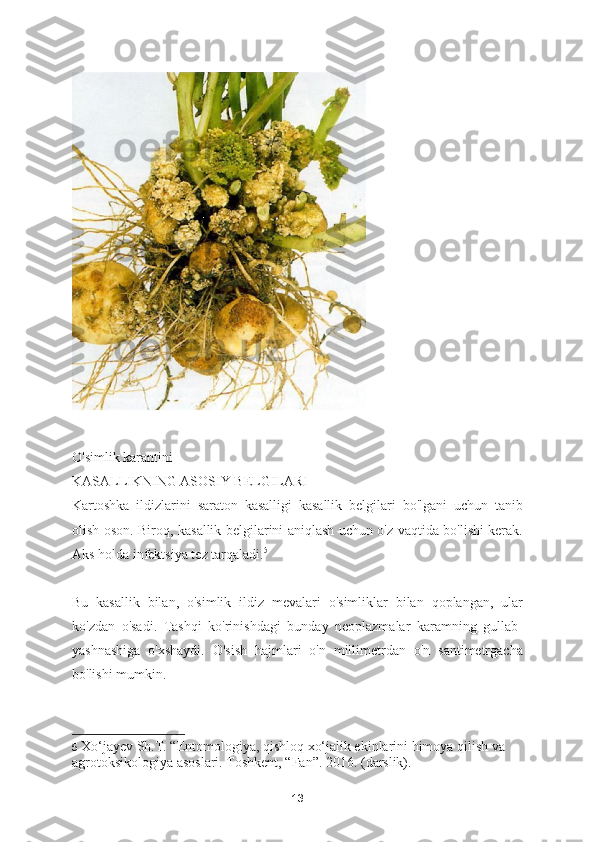 O'simlik karantini
KASALLIKNING ASOSIY BELGILARI
Kartoshka   ildizlarini   saraton   kasalligi   kasallik   belgilari   bo'lgani   uchun   tanib
olish oson. Biroq, kasallik belgilarini aniqlash uchun o'z vaqtida bo'lishi kerak.
Aks holda infektsiya tez tarqaladi. 5
Bu   kasallik   bilan,   o'simlik   ildiz   mevalari   o'simliklar   bilan   qoplangan,   ular
ko'zdan   o'sadi.   Tashqi   ko'rinishdagi   bunday   neoplazmalar   karamning   gullab-
yashnashiga   o'xshaydi.   O'sish   hajmlari   o'n   millimetrdan   o'n   santimetrgacha
bo'lishi mumkin.
5   Xo‘jayev Sh.T. “Entomologiya, qishloq xo‘jalik ekinlarini himoya qilish va 
agrotoksikologiya asoslari. Toshkent, “Fan”. 2016. (darslik).
13 