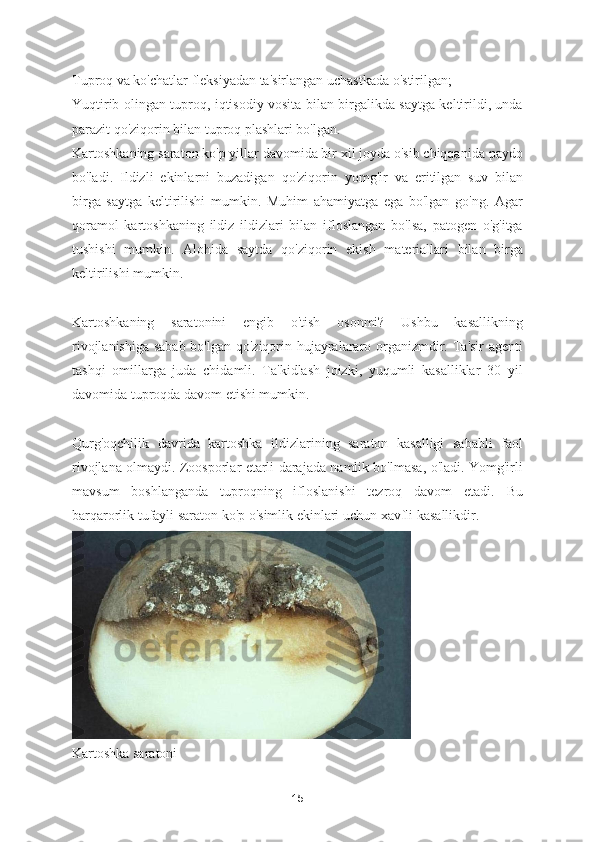 Tuproq va ko'chatlar fleksiyadan ta'sirlangan uchastkada o'stirilgan;
Yuqtirib olingan tuproq, iqtisodiy vosita bilan birgalikda saytga keltirildi, unda
parazit qo'ziqorin bilan tuproq plashlari bo'lgan.
Kartoshkaning saraton ko'p yillar davomida bir xil joyda o'sib chiqqanida paydo
bo'ladi.   Ildizli   ekinlarni   buzadigan   qo'ziqorin   yomg'ir   va   eritilgan   suv   bilan
birga   saytga   keltirilishi   mumkin.   Muhim   ahamiyatga   ega   bo'lgan   go'ng.   Agar
qoramol   kartoshkaning   ildiz   ildizlari   bilan   ifloslangan   bo'lsa,   patogen   o'g'itga
tushishi   mumkin.   Alohida   saytda   qo'ziqorin   ekish   materiallari   bilan   birga
keltirilishi mumkin.
Kartoshkaning   saratonini   engib   o'tish   osonmi?   Ushbu   kasallikning
rivojlanishiga sabab bo'lgan qo'ziqorin hujayralararo organizmdir. Ta'sir  agenti
tashqi   omillarga   juda   chidamli.   Ta'kidlash   joizki,   yuqumli   kasalliklar   30   yil
davomida tuproqda davom etishi mumkin.
Qurg'oqchilik   davrida   kartoshka   ildizlarining   saraton   kasalligi   sababli   faol
rivojlana olmaydi. Zoosporlar etarli darajada namlik bo'lmasa, o'ladi. Yomg'irli
mavsum   boshlanganda   tuproqning   ifloslanishi   tezroq   davom   etadi.   Bu
barqarorlik tufayli saraton ko'p o'simlik ekinlari uchun xavfli kasallikdir. 
Kartoshka saratoni
15 