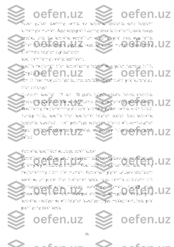 Ba'zan   gullash   davrining   oxirida   siz   kartoshka   tepalarida   sariq   barglarni
ko'rishingiz mumkin. Agar sarg'ayish butaning tepasida boshlanib, tezda pastga
tarqalsa,   unda   biz   kartoshka   verticillium   solgunligi   yoki   qisqa   vaqt   ichida
so'lishi   bilan   kasallangan   degan   xulosaga   kelishimiz   mumkin.   Kasallikning
qo'shimcha belgilari quyidagilardir:
kasal o'simlikning o'sishda kechikishi;
kasallik   rivojlanishi   bilan   kartoshkaning   barglari   va   poyalari   jigarrang   bo'lib,
quriydi, o'ladi;
nam ob-havo mavjud bo'lganda, orqa tarafdagi barglar pushti  yoki kulrang gul
bilan qoplangan.
Qo'ziqorin   kasalligi   +16   dan   +25   gacha   bo'lgan   o'rtacha   harorat   sharoitida
tarqaladi0C. Quruq ob-havo va engil tuproq uning rivojlanishiga yordam beradi.
Kasallikning   rivojlanishining   cho'qqisi   ko'pincha   gullash   oxirida   sodir   bo'ladi.
Bunday   holda,   kasallik   bilan   kasallanish   belgilari   dastlab   faqat   kartoshka
barglarida   kuzatiladi.   Hosil   yerto‘laga   saqlanishi   bilanoq   vilt   zamburug‘lari
paydo   bo‘lib,   kartoshka   tezda   chirishga   va   yaroqsiz   holga   kelishiga   sabab
bo‘ladi.
Kartoshka kasalliklari va ularga qarshi kurash
Verticillium solgunligi uchun kartoshkani davolash foydasiz. Qo'ziqorinlar turli
xil kimyoviy moddalarga chidamli. Kasal tupni olib tashlash orqali kasallikning
rivojlanishining   oldini   olish   mumkin.   Kartoshkani   yig'ish   uzluksiz   tepaliklarni
kesish   va   uni   yoqish   bilan   boshlanishi   kerak.   Faqat   o'simlik   qoldiqlarini   olib
tashlaganingizdan   so'ng,   ildizlarni   qazishingiz   mumkin.   Bunday   chora
sabzavotlarning   qo'shimcha   infektsiyasi   ehtimolini   kamaytiradi.   Kelgusi   yilda
kartoshka   o'sadigan   va   vilt   belgilari   kuzatilgan   joyga   makkajo'xori,   beda   yoki
yashil go'ng ekish kerak.
25 