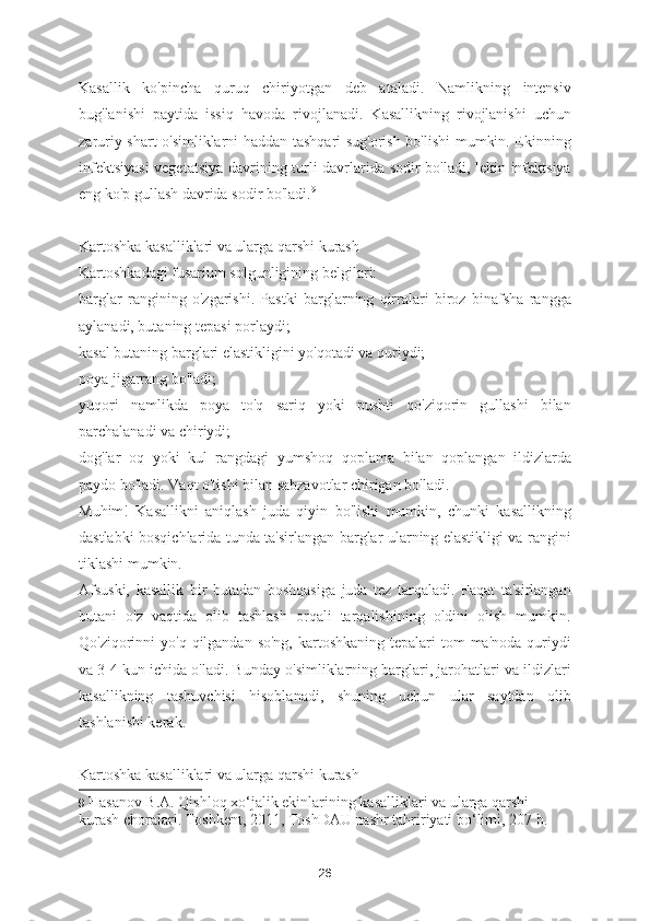 Kasallik   ko'pincha   quruq   chiriyotgan   deb   ataladi.   Namlikning   intensiv
bug'lanishi   paytida   issiq   havoda   rivojlanadi.   Kasallikning   rivojlanishi   uchun
zaruriy shart o'simliklarni haddan tashqari sug'orish bo'lishi mumkin. Ekinning
infektsiyasi  vegetatsiya davrining turli davrlarida sodir bo'ladi, lekin infektsiya
eng ko'p gullash davrida sodir bo'ladi. 9
Kartoshka kasalliklari va ularga qarshi kurash
Kartoshkadagi fusarium solgunligining belgilari:
barglar   rangining   o'zgarishi.   Pastki   barglarning   qirralari   biroz   binafsha   rangga
aylanadi, butaning tepasi porlaydi;
kasal butaning barglari elastikligini yo'qotadi va quriydi;
poya jigarrang bo'ladi;
yuqori   namlikda   poya   to'q   sariq   yoki   pushti   qo'ziqorin   gullashi   bilan
parchalanadi va chiriydi;
dog'lar   oq   yoki   kul   rangdagi   yumshoq   qoplama   bilan   qoplangan   ildizlarda
paydo bo'ladi. Vaqt o'tishi bilan sabzavotlar chirigan bo'ladi.
Muhim!   Kasallikni   aniqlash   juda   qiyin   bo'lishi   mumkin,   chunki   kasallikning
dastlabki bosqichlarida tunda ta'sirlangan barglar ularning elastikligi va rangini
tiklashi mumkin.
Afsuski,   kasallik   bir   butadan   boshqasiga   juda   tez   tarqaladi.   Faqat   ta'sirlangan
butani   o'z   vaqtida   olib   tashlash   orqali   tarqalishining   oldini   olish   mumkin.
Qo'ziqorinni  yo'q qilgandan so'ng,  kartoshkaning  tepalari  tom  ma'noda quriydi
va 3-4 kun ichida o'ladi. Bunday o'simliklarning barglari, jarohatlari va ildizlari
kasallikning   tashuvchisi   hisoblanadi,   shuning   uchun   ular   saytdan   olib
tashlanishi kerak.
Kartoshka kasalliklari va ularga qarshi kurash
9   Hasanov B.A. Qishloq xo‘jalik ekinlarining kasalliklari va ularga qarshi 
kurash choralari. Toshkent, 2011, ToshDAU nashr tahririyati bo‘limi, 207 b.  
26 