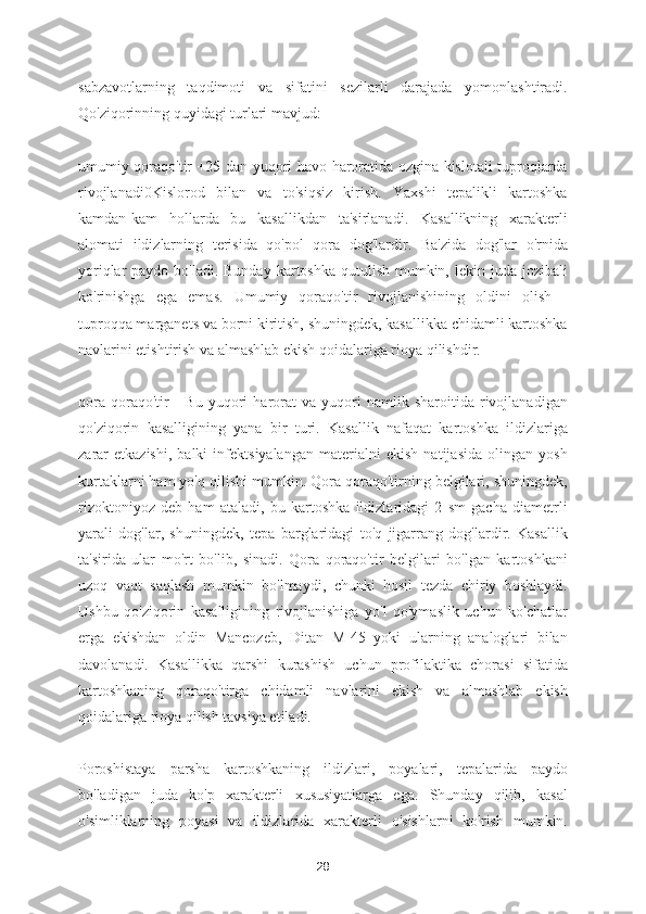 sabzavotlarning   taqdimoti   va   sifatini   sezilarli   darajada   yomonlashtiradi.
Qo'ziqorinning quyidagi turlari mavjud:
umumiy qoraqo'tir +25 dan yuqori havo haroratida ozgina kislotali tuproqlarda
rivojlanadi0Kislorod   bilan   va   to'siqsiz   kirish.   Yaxshi   tepalikli   kartoshka
kamdan-kam   hollarda   bu   kasallikdan   ta'sirlanadi.   Kasallikning   xarakterli
alomati   ildizlarning   terisida   qo'pol   qora   dog'lardir.   Ba'zida   dog'lar   o'rnida
yoriqlar  paydo bo'ladi. Bunday  kartoshka qutulish  mumkin, lekin juda jozibali
ko'rinishga   ega   emas.   Umumiy   qoraqo'tir   rivojlanishining   oldini   olish   -
tuproqqa marganets va borni kiritish, shuningdek, kasallikka chidamli kartoshka
navlarini etishtirish va almashlab ekish qoidalariga rioya qilishdir.
qora   qoraqo'tir   -   Bu   yuqori   harorat   va   yuqori   namlik   sharoitida   rivojlanadigan
qo'ziqorin   kasalligining   yana   bir   turi.   Kasallik   nafaqat   kartoshka   ildizlariga
zarar   etkazishi,   balki   infektsiyalangan   materialni   ekish   natijasida   olingan   yosh
kurtaklarni ham yo'q qilishi mumkin. Qora qoraqo'tirning belgilari, shuningdek,
rizoktoniyoz   deb   ham   ataladi,   bu   kartoshka   ildizlaridagi   2   sm   gacha   diametrli
yarali   dog'lar,   shuningdek,   tepa   barglaridagi   to'q   jigarrang   dog'lardir.   Kasallik
ta'sirida   ular   mo'rt   bo'lib,   sinadi.   Qora   qoraqo'tir   belgilari   bo'lgan   kartoshkani
uzoq   vaqt   saqlash   mumkin   bo'lmaydi,   chunki   hosil   tezda   chiriy   boshlaydi.
Ushbu   qo'ziqorin   kasalligining   rivojlanishiga   yo'l   qo'ymaslik   uchun   ko'chatlar
erga   ekishdan   oldin   Mancozeb,   Ditan   M-45   yoki   ularning   analoglari   bilan
davolanadi.   Kasallikka   qarshi   kurashish   uchun   profilaktika   chorasi   sifatida
kartoshkaning   qoraqo'tirga   chidamli   navlarini   ekish   va   almashlab   ekish
qoidalariga rioya qilish tavsiya etiladi.
Poroshistaya   parsha   kartoshkaning   ildizlari,   poyalari,   tepalarida   paydo
bo'ladigan   juda   ko'p   xarakterli   xususiyatlarga   ega.   Shunday   qilib,   kasal
o'simliklarning   poyasi   va   ildizlarida   xarakterli   o'sishlarni   ko'rish   mumkin.
28 