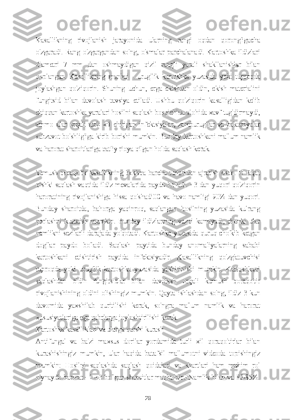 Kasallikning   rivojlanish   jarayonida   ularning   rangi   oqdan   qorong'igacha
o'zgaradi.   Rang   o'zgargandan   so'ng,   o'smalar   parchalanadi.   Kartoshka   ildizlari
diametri   7   mm   dan   oshmaydigan   qizil   rangli   yarali   shakllanishlar   bilan
qoplangan.   Kasallikning   manbai   -   urug'lik   kartoshka   yuzasida   yoki   tuproqda
joylashgan   qo'ziqorin.   Shuning   uchun,   erga   ekishdan   oldin,   ekish   materialini
fungitsid   bilan   davolash   tavsiya   etiladi.   Ushbu   qo'ziqorin   kasalligidan   kelib
chiqqan kartoshka yaralari hosilni saqlash bosqichida alohida xavf tug'dirmaydi,
ammo   ular   orqali   turli   xil   chirigan   infektsiyalar,   zamburug'lar   va   bakteriyalar
sabzavot bo'shlig'iga kirib borishi mumkin. Bunday kartoshkani ma'lum namlik
va harorat sharoitlariga qat'iy rioya qilgan holda saqlash kerak.
kumush qoraqo'tir  kasallikning boshqa barcha turlaridan ajratish oson. U faqat
qishki saqlash vaqtida ildiz mevalarida paydo bo'ladi. +3 dan yuqori qo'ziqorin
haroratining   rivojlanishiga   hissa   qo'shadi0C   va   havo   namligi   90%   dan   yuqori.
Bunday   sharoitda,   bahorga   yaqinroq,   saqlangan   hosilning   yuzasida   kulrang
porlashni   kuzatish   mumkin.   Bunday   ildizlarning   vazni   kamayadi,   chunki   ular
namlikni sezilarli darajada yo'qotadi. Kartoshka yuzasida quruq cho'kib ketgan
dog'lar   paydo   bo'ladi.   Saqlash   paytida   bunday   anomaliyalarning   sababi
kartoshkani   etishtirish   paytida   infektsiyadir.   Kasallikning   qo'zg'atuvchisi
tuproqda   yoki   urug'lik   kartoshka   yuzasida   yashirinishi   mumkin.   Kartoshkani
saqlashdan   oldin   fungitsidlar   bilan   davolash   orqali   kumush   qoraqo'tir
rivojlanishining   oldini   olishingiz   mumkin.   Qayta   ishlashdan   so'ng,   ildiz   3   kun
davomida   yaxshilab   quritilishi   kerak,   so'ngra   ma'lum   namlik   va   harorat
xususiyatlariga ega qabrlarga joylashtirilishi kerak.
Kartoshka kasalliklari va ularga qarshi kurash
Antifungal   va   ba'zi   maxsus   dorilar   yordamida   turli   xil   qoraqo'tirlar   bilan
kurashishingiz   mumkin,   ular   haqida   batafsil   ma'lumotni   videoda   topishingiz
mumkin:   Hosilni   saqlashda   saqlash   qoidalari   va   shartlari   ham   muhim   rol
o'ynaydi: harorat +1-+3 bo'lgan sharoitlar maqbuldir.0Namlik bilan va 80-85%.
29 