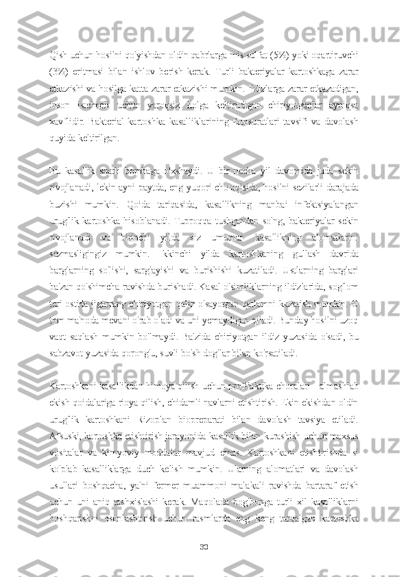 Qish uchun hosilni qo'yishdan oldin qabrlarga mis sulfat (5%) yoki oqartiruvchi
(3%)   eritmasi   bilan   ishlov   berish   kerak.   Turli   bakteriyalar   kartoshkaga   zarar
etkazishi va hosilga katta zarar etkazishi mumkin. Ildizlarga zarar etkazadigan,
inson   iste'moli   uchun   yaroqsiz   holga   keltiradigan   chiriyotganlar   ayniqsa
xavflidir.   Bakterial   kartoshka   kasalliklarining   fotosuratlari   tavsifi   va   davolash
quyida keltirilgan.
Bu   kasallik   soatli   bombaga   o'xshaydi.   U   bir   necha   yil   davomida   juda   sekin
rivojlanadi, lekin ayni paytda, eng yuqori cho'qqisida, hosilni sezilarli darajada
buzishi   mumkin.   Qoida   tariqasida,   kasallikning   manbai   infektsiyalangan
urug'lik   kartoshka   hisoblanadi.   Tuproqqa   tushgandan   so'ng,   bakteriyalar   sekin
rivojlanadi   va   birinchi   yilda   siz   umuman   kasallikning   alomatlarini
sezmasligingiz   mumkin.   Ikkinchi   yilda   kartoshkaning   gullash   davrida
barglarning   so'lishi,   sarg'ayishi   va   burishishi   kuzatiladi.   Ustlarning   barglari
ba'zan qo'shimcha ravishda burishadi. Kasal o'simliklarning ildizlarida, sog'lom
teri ostida jigarrang chiriyotgan qalin o'sayotgan qatlamni kuzatish mumkin. U
tom ma'noda mevani o'rab oladi va uni yemaydigan qiladi. Bunday hosilni uzoq
vaqt   saqlash   mumkin   bo'lmaydi.   Ba'zida   chiriyotgan   ildiz   yuzasida   o'sadi,   bu
sabzavot yuzasida qorong'u, suvli bo'sh dog'lar bilan ko'rsatiladi.
Kartoshkani kasallikdan himoya qilish uchun profilaktika choralari - almashlab
ekish qoidalariga rioya qilish, chidamli navlarni etishtirish. Ekin ekishdan oldin
urug'lik   kartoshkani   Rizoplan   biopreparati   bilan   davolash   tavsiya   etiladi.
Afsuski, kartoshka etishtirish jarayonida kasallik bilan kurashish uchun maxsus
vositalar   va   kimyoviy   moddalar   mavjud   emas.   Kartoshkani   etishtirishda   si
ko'plab   kasalliklarga   duch   kelish   mumkin.   Ularning   alomatlari   va   davolash
usullari   boshqacha,   ya'ni   fermer   muammoni   malakali   ravishda   bartaraf   etish
uchun   uni   aniq   tashxislashi   kerak.   Maqolada   bog'bonga   turli   xil   kasalliklarni
boshqarishni   osonlashtirish   uchun   rasmlarda   eng   keng   tarqalgan   kartoshka
30 