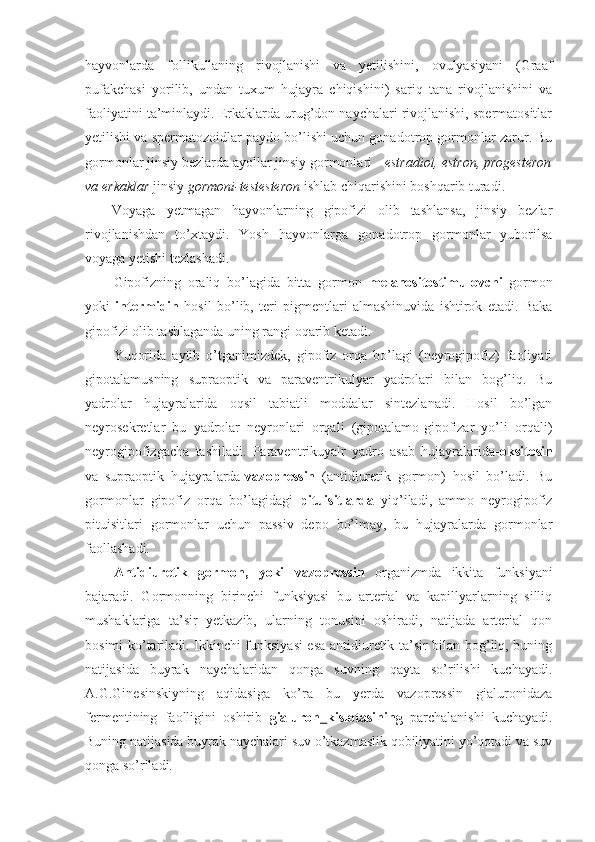 hayvonlarda   follikullaning   rivojlanishi   va   yetilishini,   ovulyasiyani   (Graaf
pufakchasi   yorilib,   undan   tuxum   hujayra   chiqishini)   sariq   tana   rivojlanishini   va
faoliyatini ta’minlaydi. Erkaklarda urug’don naychalari rivojlanishi, spermatositlar
yetilishi va spermatozoidlar paydo bo’lishi uchun gonadotrop gormonlar zarur. Bu
gormonlar jinsiy bezlarda ayollar jinsiy gormonlari -  estradiol, estron, progesteron
va erkaklar  jinsiy  gormoni-testesteron  ishlab chiqarishini boshqarib turadi.
Voyaga   yetmagan   hayvonlarning   gipofizi   olib   tashlansa,   jinsiy   bezlar
rivojlanishdan   to’xtaydi.   Yosh   hayvonlarga   gonadotrop   gormonlar   yuborilsa
voyaga yetishi tezlashadi.
Gipofizning   oraliq   bo’lagida   bitta   gormon   melanositostimulovchi   gormon
yoki   intermidin   hosil   bo’lib,   teri   pigmentlari   almashinuvida   ishtirok   etadi.   Baka
gipofizi olib tashlaganda uning rangi oqarib ketadi.
Yuqorida   aytib   o’tganimizdek,   gipofiz   orqa   bo’lagi   (neyrogipofiz)   faoliyati
gipotalamusning   supraoptik   va   paraventrikulyar   yadrolari   bilan   bog’liq.   Bu
yadrolar   hujayralarida   oqsil   tabiatli   moddalar   sintezlanadi.   Hosil   bo’lgan
neyrosekretlar   bu   yadrolar   neyronlari   orqali   (gipotalamo-gipofizar   yo’li   orqali)
neyrogipofizgacha   tashiladi.   Paraventrikuyalr   yadro   asab   hujayralarida- oksitosin
va   supraoptik   hujayralarda- vazopressin   (antidiuretik   gormon)   hosil   bo’ladi.   Bu
gormonlar   gipofiz   orqa   bo’lagidagi   pituisitlarda   yiq’iladi,   ammo   neyrogipofiz
pituisitlari   gormonlar   uchun   passiv   depo   bo’lmay,   bu   hujayralarda   gormonlar
faollashadi.
Antidiuretik   gormon,   yoki   vazopressin   organizmda   ikkita   funksiyani
bajaradi.   Gormonning   birinchi   funksiyasi   bu   arterial   va   kapillyarlarning   silliq
mushaklariga   ta’sir   yetkazib,   ularning   tonusini   oshiradi,   natijada   arterial   qon
bosimi ko’tariladi. Ikkinchi funksiyasi  esa antidiuretik ta’sir bilan bog’liq, buning
natijasida   buyrak   naychalaridan   qonga   suvning   qayta   so’rilishi   kuchayadi.
A.G.Ginesinskiyning   aqidasiga   ko’ra   bu   yerda   vazopressin   gialuronidaza
fermentining   faolligini   oshirib   gialuron   kislotasining   parchalanishi   kuchayadi.
Buning natijasida buyrak naychalari suv o’tkazmaslik qobiliyatini yo’qotadi va suv
qonga so’riladi.  