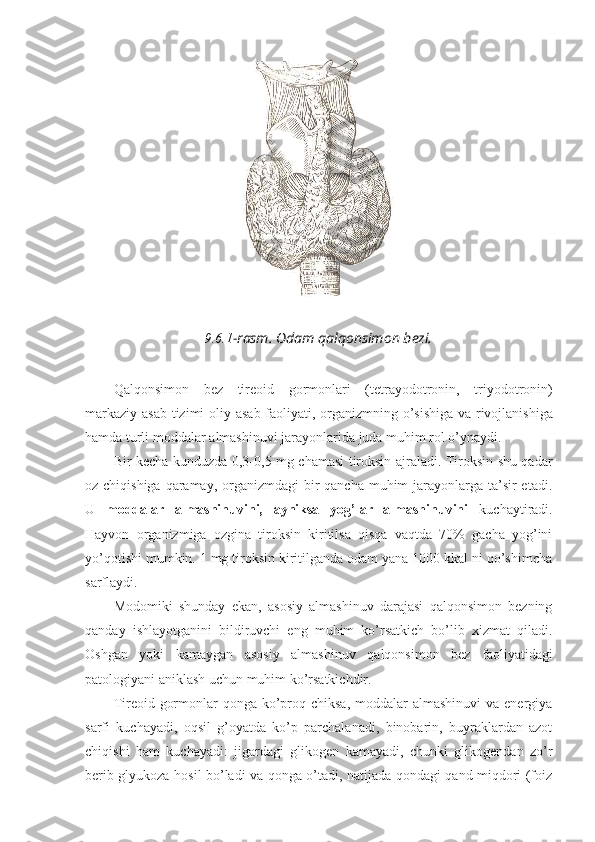 9.6.1 - rasm .  Odam   qalqonsimon   bezi .
Qalqonsimon   bez   tireoid   gormonlari   ( tetrayodotronin ,   triyodotronin )
markaziy   asab   tizimi   oliy   asab   faoliyati ,   organizmning   o ’ sishiga   va   rivojlanishiga
hamda   turli   moddalar   almashinuvi   jarayonlarida   juda   muhim   rol   o ’ ynaydi .
Bir kecha-kunduzda 0,3-0,5 mg chamasi tiroksin ajraladi. Tiroksin shu qadar
oz chiqishiga  qaramay, organizmdagi bir qancha muhim  jarayonlarga ta’sir  etadi.
U   moddalar   almashinuvini,   ayniksa   yog’lar   almashinuvini   kuchaytiradi.
Hayvon   organizmiga   ozgina   tiroksin   kiritilsa   qisqa   vaqtda   70%   gacha   yog’ini
yo’qotishi mumkin. 1 mg tiroksin kiritilganda odam yana 1000 kkal ni qo’shimcha
sarflaydi. 
Modomiki   shunday   ekan,   asosiy   almashinuv   darajasi   qalqonsimon   bezning
qanday   ishlayotganini   bildiruvchi   eng   muhim   ko’rsatkich   bo’lib   xizmat   qiladi.
Oshgan   yoki   kamaygan   asosiy   almashinuv   qalqonsimon   bez   faoliyatidagi
patologiyani aniklash uchun muhim ko’rsatkichdir.
Tireoid gormonlar  qonga ko’proq chiksa,  moddalar  almashinuvi  va  energiya
sarfi   kuchayadi,   oqsil   g’oyatda   ko’p   parchalanadi,   binobarin,   buyraklardan   azot
chiqishi   ham   kuchayadi:   jigardagi   glikogen   kamayadi,   chunki   glikogendan   zo’r
berib glyukoza hosil bo’ladi va qonga o’tadi, natijada qondagi qand miqdori (foiz 