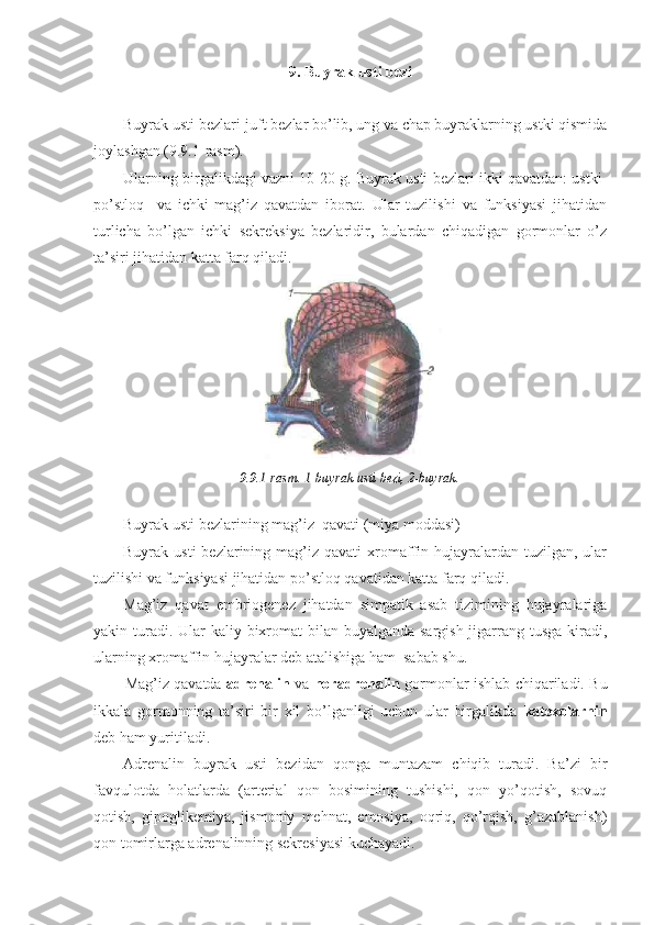 9. Buyrak usti bezi
Buyrak usti bezlari-juft bezlar bo’lib, ung va chap buyraklarning ustki qismida
joylashgan (9.9.1-rasm).
Ularning birgalikdagi vazni 10-20 g. Buyrak usti bezlari ikki qavatdan: ustki-
po’stloq     va   ichki-mag’iz   qavatdan   iborat.   Ular   tuzilishi   va   funksiyasi   jihatidan
turlicha   bo’lgan   ichki   sekreksiya   bezlaridir,   bulardan   chiqadigan   gormonlar   o’z
ta’siri jihatidan katta farq qiladi.
9.9.1-rasm. 1-buyrak usti bezi, 2-buyrak.
Buyrak usti bezlarining mag’iz  qavati (miya moddasi)
Buyrak usti  bezlarining  mag’iz  qavati   xromaffin  hujayralardan  tuzilgan,  ular
tuzilishi va funksiyasi jihatidan po’stloq qavatidan katta farq qiladi. 
Mag’iz   qavat   embriogenez   jihatdan   simpatik   asab   tizimining   hujayralariga
yakin turadi. Ular  kaliy bixromat bilan buyalganda sargish jigarrang tusga kiradi,
ularning xromaffin hujayralar deb atalishiga ham  sabab shu.
Mag’iz qavatda   adrenalin   va   noradrenalin   gormonlar ishlab chiqariladi. Bu
ikkala   gormonning   ta’siri   bir   xil   bo’lganligi   uchun   ular   birgalikda   katexolarnin
deb ham yuritiladi. 
Adrenalin   buyrak   usti   bezidan   qonga   muntazam   chiqib   turadi.   Ba’zi   bir
favqulotda   holatlarda   (arterial   qon   bosimining   tushishi,   qon   yo’qotish,   sovuq
qotish,   gipoglikemiya,   jismoniy   mehnat,   emosiya,   oqriq,   qo’rqish,   g’azablanish)
qon tomirlarga adrenalinning sekresiyasi kuchayadi. 