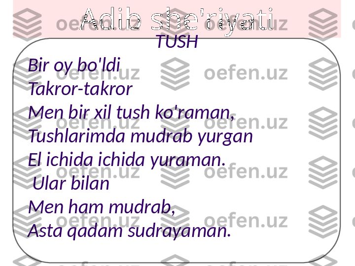 Adib she'riyati
TUSH
Bir oy bo'ldi 
Takror-takror
Men bir xil tush ko'raman,
Tushlarimda mudrab yurgan
El ichida ichida yuraman.
  Ular bilan
Men ham mudrab,
Asta qadam sudrayaman. 