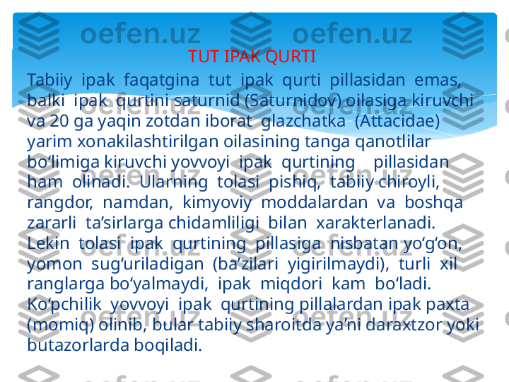 TUT IPAK QURTI 
Tabiiy  ipak  faqatgina  tut  ipak  qurti  pillasidan  emas,  
balki  ipak  qurtini saturnid (Saturnidov) oilasiga kiruvchi 
va 20 ga yaqin zotdan iborat  glazchatka  (Attacidae) 
yarim xonakilashtirilgan oilasining tanga qanotlilar 
bo‘limiga kiruvchi yovvoyi  ipak  qurtining    pillasidan  
ham  olinadi.  Ularning  tolasi  pishiq,  tabiiy chiroyli,  
rangdor,  namdan,  kimyoviy  moddalardan  va  boshqa  
zararli  ta’sirlarga chidamliligi  bilan  xarakterlanadi.  
Lekin  tolasi  ipak  qurtining  pillasiga  nisbatan yo‘g‘on,  
yomon  sug‘uriladigan  (ba’zilari  yigirilmaydi),  turli  xil  
ranglarga bo‘yalmaydi,  ipak  miqdori  kam  bo‘ladi.  
Ko‘pchilik  yovvoyi  ipak  qurtining pillalardan ipak paxta 
(momiq) olinib, bular tabiiy sharoitda ya’ni daraxtzor yoki 
butazorlarda boqiladi.    