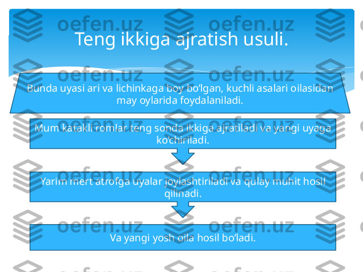 Teng ikkiga ajratish usuli.
Bunda uyasi ari va lichinkaga boy bo’lgan, kuchli asalari oilasidan 
may oylarida foydalaniladi.
Mum katakli romlar teng sonda ikkiga ajratiladi va yangi uyaga 
ko’chiriladi.
Yarim mert atrofga uyalar joylashtiriladi va qulay muhit hosil 
qilinadi.
Va yangi yosh oila hosil bo’ladi.   