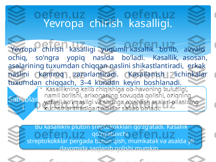   Yevropa    chirish    kasalligi    yuqumli  kasallik    bo‘lib,    avvalo   
ochiq,    so‘ngra    yopiq    naslda    bo‘ladi.    Kasallik,  asosan, 
asalarining tuxumdan chiqqan naslini shikastlantiradi,  erkak  
naslini    kamroq    zararlantiradi.    Kasallanish    lichinkalar 
tuxumdan  chiqqach,  3–4  kundan  keyin  boshlanadi.  Yevropa  chirish  kasalligi .
Sabablar
i •
  Kasallikning kelib chiqishiga ob-havoning bulutligi, 
namli bo‘lishi, arixonaning sovuqda qolishi, oziqning 
yetarli bo‘lmasligi va shunga o‘xshash asalari oilasining 
kuchsizlantiradigan omillar sabab bo‘ladi.
  Bu kasallikni pluton sreptokokklari qo‘zg‘atadi. Kasallik 
qo‘zg‘atuvchi 
streptokokklar pergada butun qish, mumkatak va asalda yil 
davomida saqlanib qolishi mumkin.      