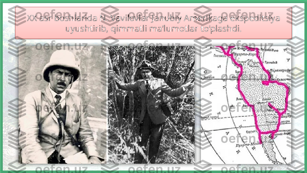 XX asr boshlarida N. Vavilovlar Janubiy Amerikaga ekspeditsiya 
uyushtirib, qimmatli ma’lumotlar to‘plashdi.     