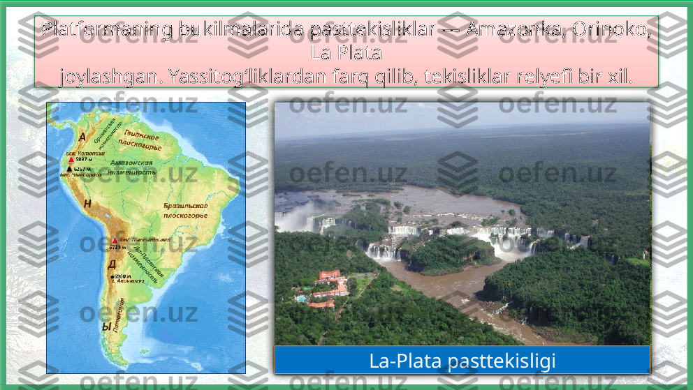 Platformaning bukilmalarida pasttekisliklar — Amazonka, Orinoko, 
La Plata
joylashgan. Yassitog‘liklardan farq qilib, tekisliklar relyefi bir xil.
Amazonka pasttekisligi
Orinoko pasttekisligi
La-Plata pasttekisligi        