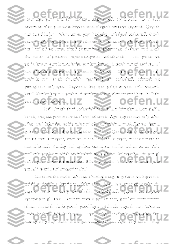 organlarga   ya’ni   endokrin   bezlarga   ta’sir   qiladi.   Oz   dozada     uzoq   vaqt
davomida ta’sir qilib tursa hayvon terisi o‘zgarib reaksiya qaytaradi. Quyosh
nuri   ta’sirida   jun   o‘sishi,   ter   va   yog‘   bezlarini   funksiyasi   tezlashadi,   shoxli
qatlam yug‘onlashadi, epidermis qalinlashadi. Terida biologik aktiv moddalar
hosil   bo‘ladi   va   qonga   o‘tadi   (gistamin   va   gistaminga   o‘xshash   moddalar).
Bu   nurlar   to‘qimalarni   regeneratsiyasini   tezlashtiradi   –   teri   yarasi   va
yallig‘langan   vaqtda   tuzalishiga   yordam   beradi.   Quyosh   nurlari   ayniqsa   Uf
nuri ta’sirida terida melanin pigmenti hosil bo‘ladi.  Doimiy   quyosh   nuri
ta’sirida   qon   ishlab   chiqarish   organlarini   ishi   tezlashadi,   eritrotsit   va
gemoglobin   ko‘payadi.   Hayvonlar   kup   qon   yo‘qotsa   yoki   og‘ir   yuqumli
kasalliklardan  keyin quyosh  nuri yordamida qon  elementlarini hosil  bo‘lishi
va qon uyushi tezlashadi. 
                    Oqsil   almashishini   tezlashishi   natijasida   to‘qimalarda   azot   yig‘ila
boradi, natijada yosh mollarda o‘sish tezlashadi. Agar quyosh nuri ko‘p ta’sir
qilsa   oqsil   balansiga   salbiy   ta’sir   qiladi.   Nur   ta’sirda   muskullar   va   jigarda
glikogen   shaklidagi   shakar   moddalari   yig‘iladi.   Qonda   atseton   tanachalari,
sut   kislotasi   kamayadi,   atsetilxolin   hosil   bo‘lishi   kupayib,   modda   almashish
normallashadi.   Bunday   hol   ayniqsa   sermahsul   mollar   uchun   zarur.   Ariq
mollarda   yog‘   almashish   sekinlashadi   va   yig‘ilishi   ko‘payadi.   Juda   yorug‘
bo‘lsa   yog‘   almashish   tezlashadi.   SHuning   uchun     bo‘rdoqi     mollarni   juda
yorug‘ joylarda saqlamagani ma’qul.
Ultrabinafsha   nurlar   ta’sirida   o‘simliklardagi   ergosterin   va   hayvonlar
terisidagi degidroxolestirin moddalari aktiv D
2   va D
3   vitaminlariga aylanadi,
qaysiki   fosfor   –   kalsiy   almashishini   tezlashtiradi.   Quyosh   radiatsiyasi,
ayniqsa yorug‘lik va UB nurlar jinsiy kuyga kelishni, gipofizni gonadotropin
ishlab   chiqarish   funksiyasini   yaxshilaydi.   Bahorda   quyosh   nuri   ta’sirida
jinsiy   bezlarni   ishi   kuchayadi.   Tuya,   qo‘y,   echkilarda   jinsiy   aktivlikni
kuchayishi   yorug‘   kunni   qisqargan   vaqtida   bo‘ladi.   Agar   qo‘y   aprel   –   may 