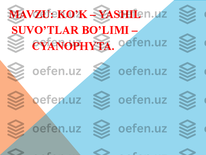 MAVZU:  KO’K – YASHIL 
SUVO’TLAR BO’LIMI – 
CYANOPHYTA .   