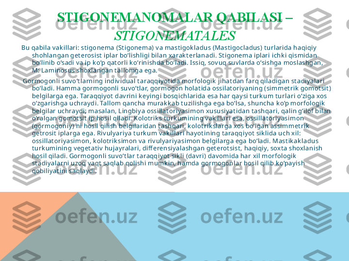 STIGONEMANOMALAR QABILASI – 
STIGONEMATALES
Bu qabil a v ak i ll ari: st i gonema (St i gonema) v a mast i gok l adus (Mast i gocl adus) t urlari da haqiqiy  
shohl angan get erosist  ipl ar bo‘li shli gi bil an xarak t erlanadi . St i gonema i plari  i chk i  qi smidan 
bo‘l inib o‘sadi  v a i p k o‘p qat orl i k o‘rini shda bo‘ladi . I ssi q, sov uq suv l arda o‘si shga moslashgan, 
M: Lami nosus shoxl angan t all omga ega.
  Gorm ogonl i suv o‘t larni ng i ndiv idual  t araqqi y ot ida morfologi k  j ihat dan farq qil adi gan st adi y al ari 
bo‘l adi . Hamm a gormogonl i suv o‘t l ar, gormogon holat ida ossil at ori y aning (simm et rik  gomot si t ) 
bel gi larga ega. Taraqqiy ot  dav rini  k ey ingi  bosqichl arida esa har qay si  t urk um  t url ari o‘ziga xos 
o‘zgarishga uchray di . Tal lom qancha m urak k ab t uzi l ishga ega bo‘l sa, shuncha k o‘p morfol ogi k  
bel gi lar uchray di ; masalan, Lingbiy a ossi ll at oriy asi mon x ususi y at idan t ashqari, qali n g‘il of bil an 
o‘ral gan gom ot si t  ip hosi l qi l adi . Kol ot rik s t urk umi ni ng v ak il lari  esa, ossil lat ori y asim on  
(gormogoniy ) ni hosi l qil ish bel gil aridan t ashqari , k olot rik slarga xos bo‘l gan assi mmet rik  
get rosi t  i plarga ega. Riv ul y ari y a t urk um v ak i ll ari hay ot i ning t araqqiy ot  sik li da uch x il : 
ossil lat ori y asimon, k olot rik si mon v a ri v ul y ariy asi mon belgi larga ega bo‘ladi. Mast ik ak l adus 
t urk um ini ng v eget at iv  hujay ralari , di ff erensiy al ashgan get erot si st , haqi qiy, sox t a shoxlanish 
hosi l qi l adi . Gorm ogonl i suv o‘t lar t araqqi y ot  sik l i  (dav ri ) dav omi da har xi l morfol ogik  
st adi y al arni uzoq v aqt  saql ab qol ishi mumk in, ham da gormogonlar hosil  qi l ib k o‘pay i sh 
qobi li y at ini  saql ay di .  