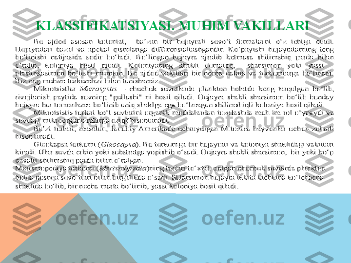 KLASSIFIKATSIYASI.  MUHIM VAKILLARIBu  ajdod  asosan  kolonial,    ba’zan  bir  hujayrali  suvo‘t  formalar	ni  o‘z  ichiga  oladi. 	
Hujayralari  bazal  va  apekal  qismlariga  differensiallashgandir.  Ko‘payishi  hujayralarning  teng 
bo‘linishi  natijasida  sodir  bo‘ladi. 	Bo‘lingan  hujayra  ajralib  ketmasa  shilimshiq  parda  bilan 	
o‘ralib,  koloniya  hosil  qiladi.  Koloniyaning  shakli  dumaloq,    shar	simon  yoki  yassi 	– 	
plastinkasimon  bo‘lishi  mumkin.  Bu  ajdod  vakillari  bir  necha  qabila  va  turkumlarga  bo‘linadi. 
Biz eng muhim turku	mlari bilan tanishamiz.	 	
Mikrotsistlar 	Microsystis	 – chuchuk  suvutlarda  plankton  holatda  keng  tarqalgan  bo‘lib, 	
rivojlanish  paytida  suvning  "gullashi"  ni  hosil  qiladi.  Hujayra  shakli  sharsimon  bo‘lib  bunday 
hujayra har tomonlama bo‘linib aniq shaklga ega bo	‘lmagan shilimshiqli koloniya hosil qiladi.	 	
Mikrotsistis  turlari  ko‘l  suvlarini  organik  moddalardan  toza	lashda  muh  im  rol  o‘ynaydi  va 	
suvdagi mikroorganizmlarga oziqf hisoblanadi.	 	
Ba’zi  turlari,  masalan,  Janubiy  Amerikada  uchraydigan  M.toxica  hayvonlar  uc	hun  zaharli 	
hisoblanadi. 	 	
Gleokapsa turkumi (	Gleocapsa	). Bu turkumga bir hujayrali va koloniya shaklidagi vakillari 	
kiradi. Ular suvda erkin yoki substratga yopishib o‘sadi. Hujayra shakli sharsimon,  bir yoki ko‘p 
qavatli shilimshiq parda bilan o‘ralgan. 	 	
Merismopediya turkumi (	Merismopedia	)ning turlari to‘xtab qol	gan chuchuk suvlarda plankton 	
holda boshqa suvo‘tlari bilan birgalikda o‘sadi. SHarsimon hujayra ikkita kichkina ko‘lchacha 
shaklida bo‘lib, bir necha marta bo‘linib, yassi koloniya hosil qiladi	.   