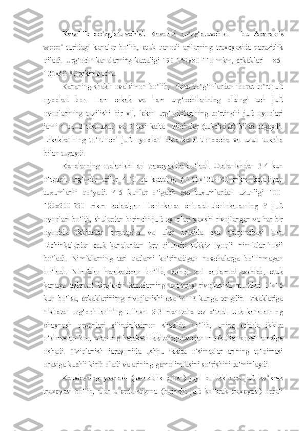 Kasallik   qo‘zg‘atuvchisi.   Kasallik   qo‘zg‘atuvchisi   –   bu   Acarapis
woodi   turidagi   kanalar   bo‘lib,   etuk   qanotli   arilarning   traxeyasida   parazitlik
qiladi. Urg‘ochi kanalarning kattaligi 190-160x80-110 mkm, erkaklari – 85-
120x60-80 mkm gacha.
Kananing shakli ovalsimon bo‘lib,   oltita bo‘g‘inlardan iborat to‘rt juft
oyoqlari   bor.   Ham   erkak   va   ham   urg‘ochilarining   oldingi   uch   juft
oyoqlarining   tuzilishi   bir   xil,   lekin   urg‘ochilarining   to‘rtinchi   juft   oyoqlari
jami   4   ta,   2   tasi   uzun   va   2   tasi   kalta     qilchalar   (tukchalar)   bilan   tugaydi.
Erkaklarining   to‘rtinchi   juft   oyoqlari   bitta   kalta   tirnoqcha   va   uzun   tukcha
bilan tugaydi.
Kanalarning   otalanishi   ari   traxeyasida   bo‘ladi.   Otalanishdan   3-4   kun
o‘tgach   urg‘ochi   arilar   4-10   ta   kattaligi   60-65x120-140   mkm   keladigan
tuxumlarni   qo‘yadi.   4-5   kunlar   o‘igach   esa   tuxumlardan   uzunligi   100-
120x200-220   mkm   keladigan   lichinkalar   chiqadi.Lichinkalarning   3   juft
oyoqlari bo‘lib, shulardan birinchi juft oyoqlari yaxshi rivojlangan va har bir
oyoqida   ikkitadan   tirnoqcha   va   ular   orasida   esa   qalqonchasi   bor.
Lichinkalardan   etuk   kanalardan   farq   qiluvchi   sakkiz   oyoqli     nimfalar   hosil
bo‘ladi.   Nimfalarning   teri   qatlami   ko‘rinadigan   novchalarga   bo‘linmagan
bo‘ladi.   Nimfalar   harakatchan   bo‘lib,   tashqi   teri   qatlamini   tashlab,   etuk
kanaga   aylanadi.Urg‘ochi   kanalarning   umumiy   rivojlanish   muddati   11-16
kun   bo‘lsa,   erkaklarinirng   rivojlanishi   esa   10-13   kunga   tengdir.   Erkaklariga
nisbatan   urg‘ochilarining   tullashi   2-3   marotaba   tez   o‘tadi.Etuk   kanalarning
chaynash   organlari   silindriksimon   shaklda   bo‘lib,   uning   ichida   ikkita
o‘simtalari  bor,  ularning  harakati  ikkita  egiluvchan  muskullar  orqali  amalga
oshadi.   Oziqlanish   jarayonida   ushbu   ikkita   o‘simtalar   arining   to‘qimasi
orasiga kuchli kirib oladi va arining gemolimfasini so‘rishini ta’minlaydi.
Kanalarning   yashash   (parazitlik   qilish)   joyi   bu   ikkinchi   juft   ko‘krak
traxeyasi   bo‘lib,   ular   u   erda   stigma   (birinchi   juft   ko‘krak   traxeyasi)   orqali 