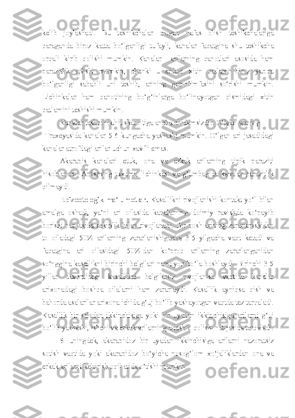 kelib   joylashadi.   Bu   teshikchalar   qolgan   nafas   olish   teshikchalariga
qaraganda   biroz   katta   bo‘lganligi   tufayli,   kanalar   faqatgina   shu   teshikcha
orqali   kirib   qolishi   mumkin.   Kanalar     arilarning   qanotlari   asosida   ham
parazitlik   qilishi   mumkin,   chunki   u   erdagi   xitin   qatlami   biroz   yupqa
bo‘lganligi   sababli   uni   teshib,   arining   gemolimfasini   so‘rishi   mumkin.
Lichinkalar   ham   qanotining   bo‘g‘inlarga   bo‘linayotgan   qismidagi   xitin
qatlamini teshishi mumkin.
Kanalar tashqi muhit sharoitiga ancha chidamsizdir. O‘lgan arining
  Traxeyasida   kanalar   5-6   kungacha   yashashi   mumkin.   O‘lgan   ari   jasadidagi
kanalar atrofdagi arilar uchun xavfli emas.
Akarapis   kanalari   etuk,   ona   va   erkak   arilarning   tipik   paraziti
hisoblanadi.   Arilarning   tuxumi,   lichinkasi   va   g‘umbagida   kanalar   parazitlik
qilmaydi.
Epizootologik ma’lumotlar.   Kasallikni rivojlanishi kontakt yo‘l bilan
amalga   oshadi,   ya’ni   ari   oilasida   kanalarning   doimiy   ravishda   ko‘payib
borishi natijasida sekinlik bilan rivojlanadi. Bir bosh arining zararlanishidan
to   oiladagi   50%   arilarning   zararlanishigacha   3-5   yilgacha   vaqt   ketadi   va
faqatgina   ari   oilasidagi   50%-dan   ko‘proq   arilarning   zararlanganidan
so‘nggina kasallikni birinchi belgilari namoyon bo‘la boshlaydi. Birinchi 3-5
yillar   davomidagi   kasallikni   belgilarsiz   rivojlanish   vaqtida   kanalar
arixonadagi   boshqa   oilalarni   ham   zararlaydi.   Kasallik   ayniqsa   qish   va
bahorda asalarilar arixona ichida g‘uj bo‘lib yashayotgan vaqtda tez tarqaladi.
Kasallik   bir   oiladan   ikkinchisiga   yoki   bir   uyadan   ikkinchisiga   arilarni   g‘uj
bo‘lib yashashi, ishchi va erkak arilarning adashib qolishi natijasida tarqaladi.
SHuningdek,   akarapidoz   bir   uyadan   ikkinchisiga   arilarni   nazoratsiz
sotish   vaqtida   yoki   akarapidoz   bo‘yicha   nosog‘lom   xo‘jaliklardan   ona   va
erkak arilarni keltirish oqibatida o‘tishi mumkin. 